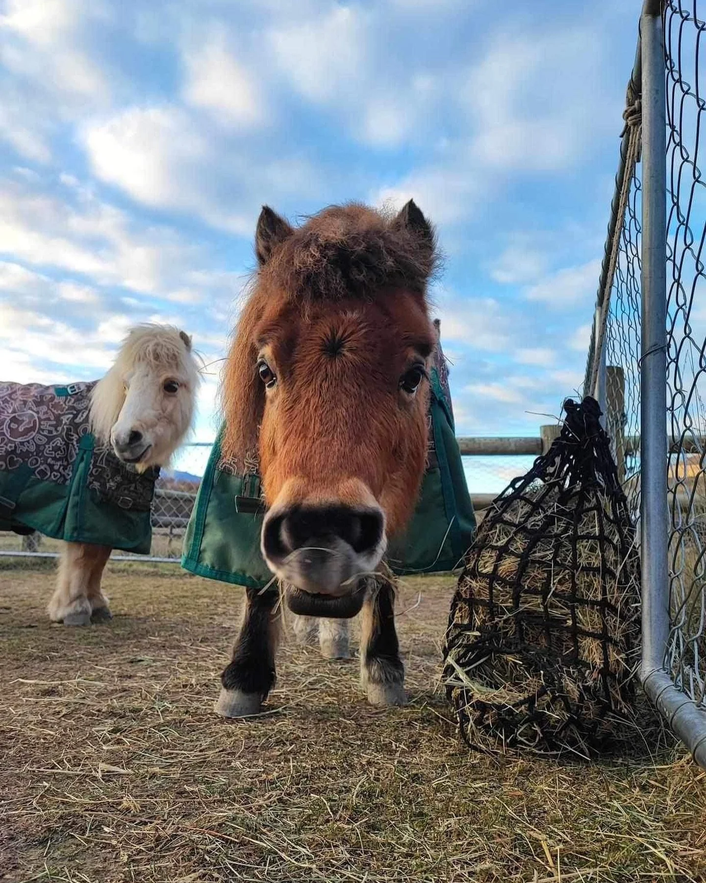 @timouut capturing personalities ✨🫶