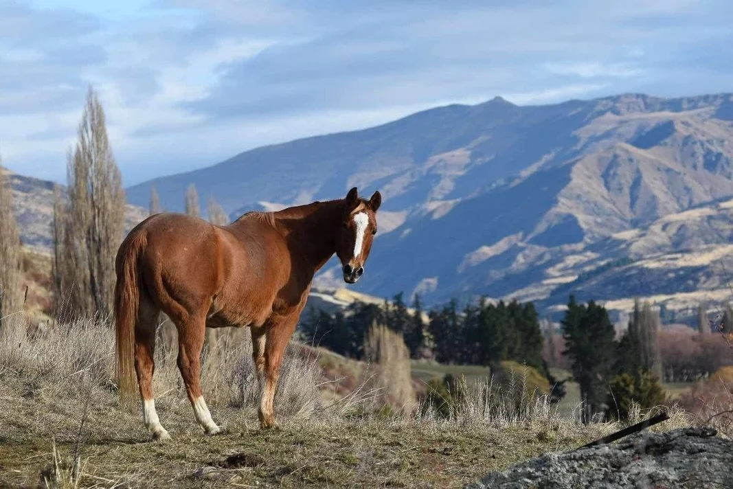 Some epic pics taken by a very talented volunteer here last week!