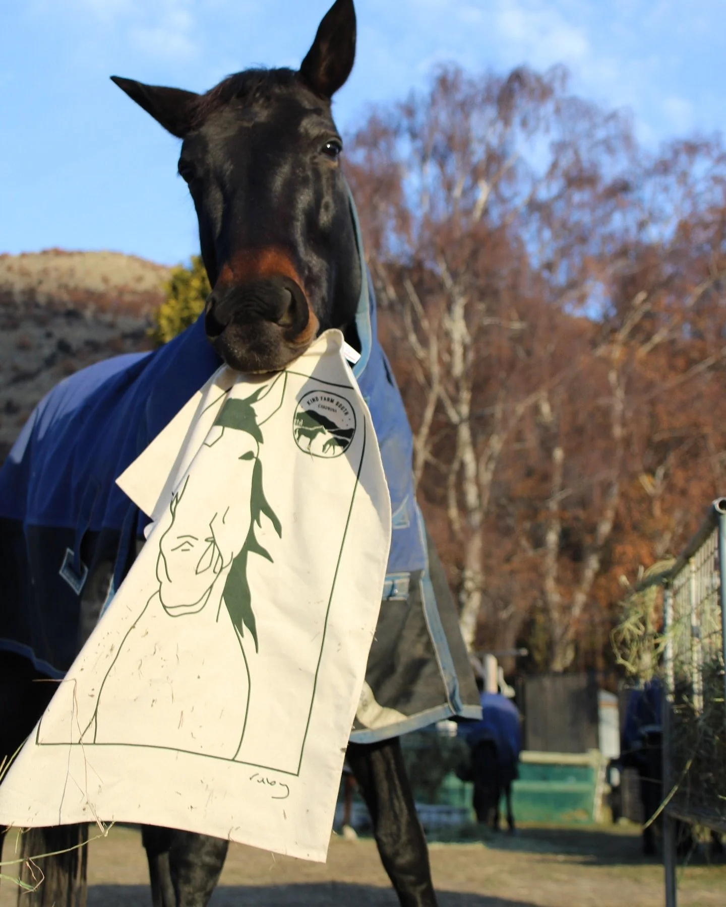 If you&rsquo;re looking for a way to support us here at Kind Farm South and help spread our message, a new tshirt or tea towel is calling your name! Message us to get your limited edition &ldquo;Ruby&rdquo; merch before they sell out!