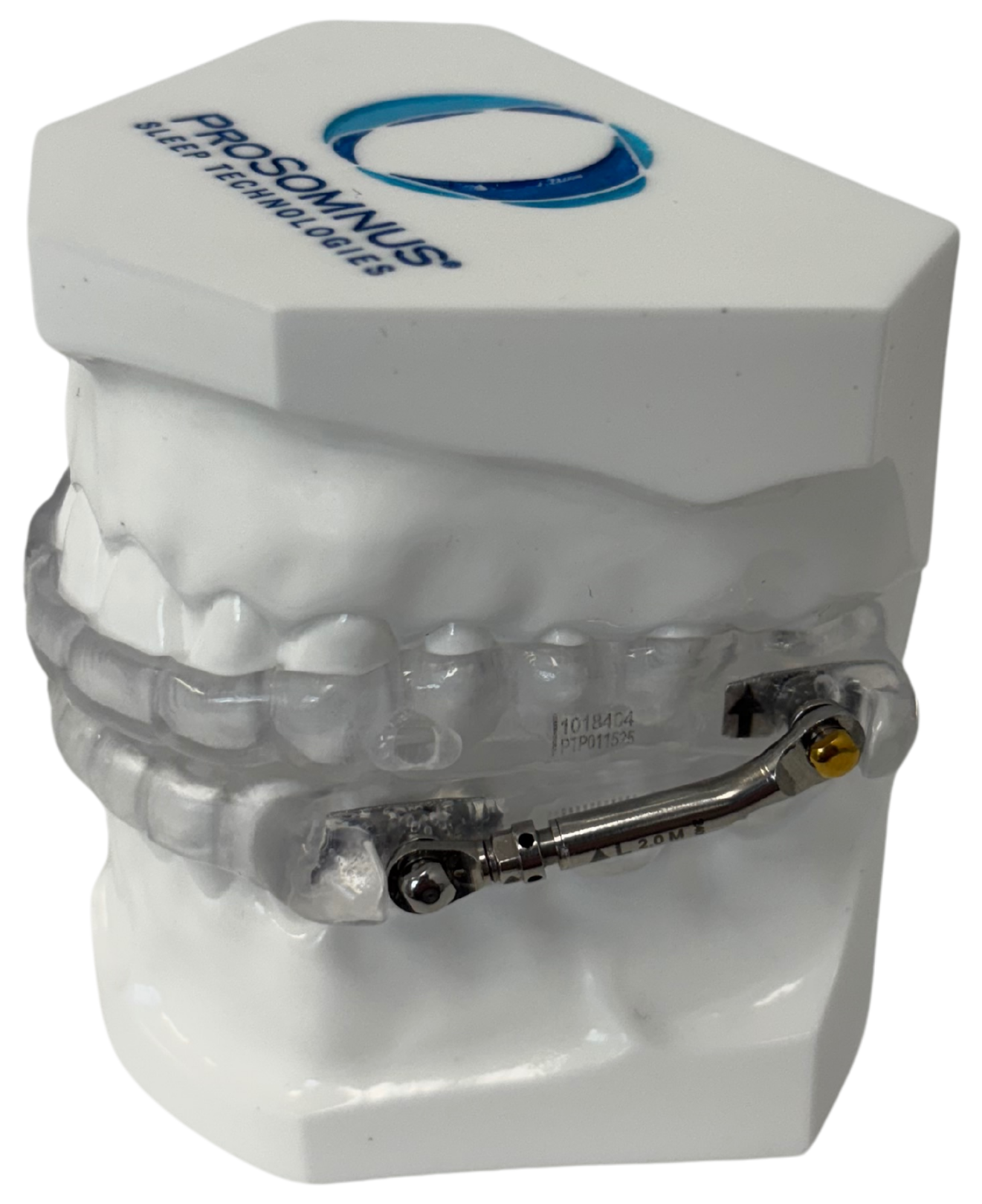 A dental model of teeth with a metal orthodontic component attached.