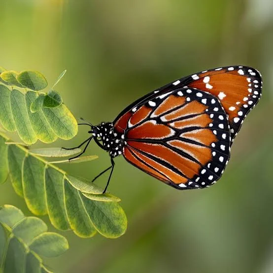 The Power Of Your Words