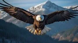 The Power of Receiving God’s Instructions and Corrections