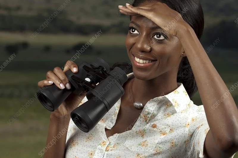 God Gave the Vision: So Whats Stopping You