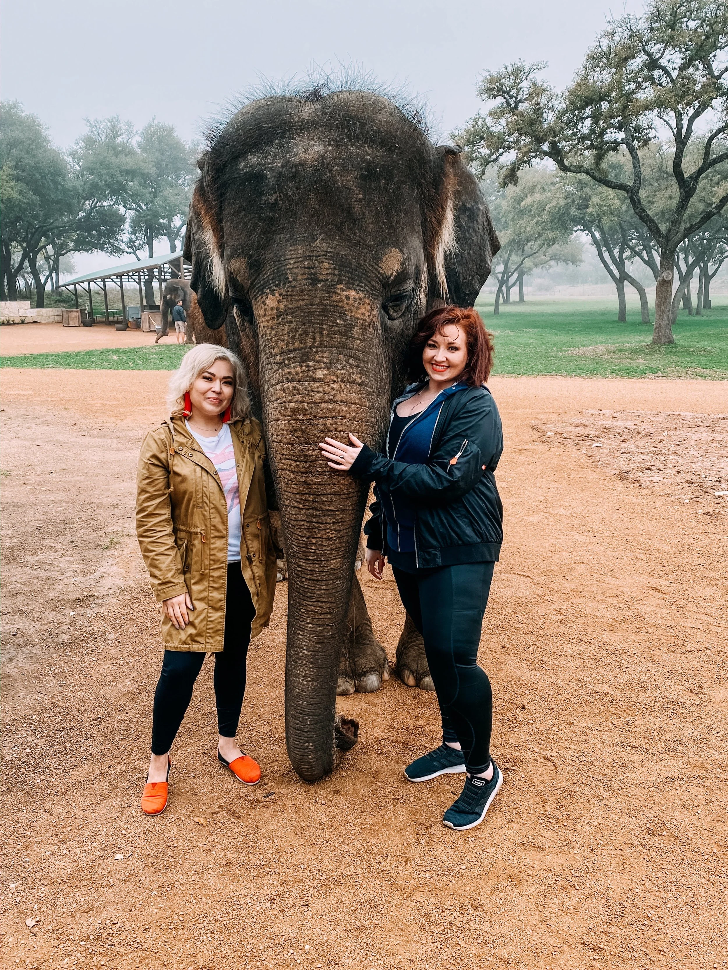 DG_Elephants_IMG_0347_Original.jpg