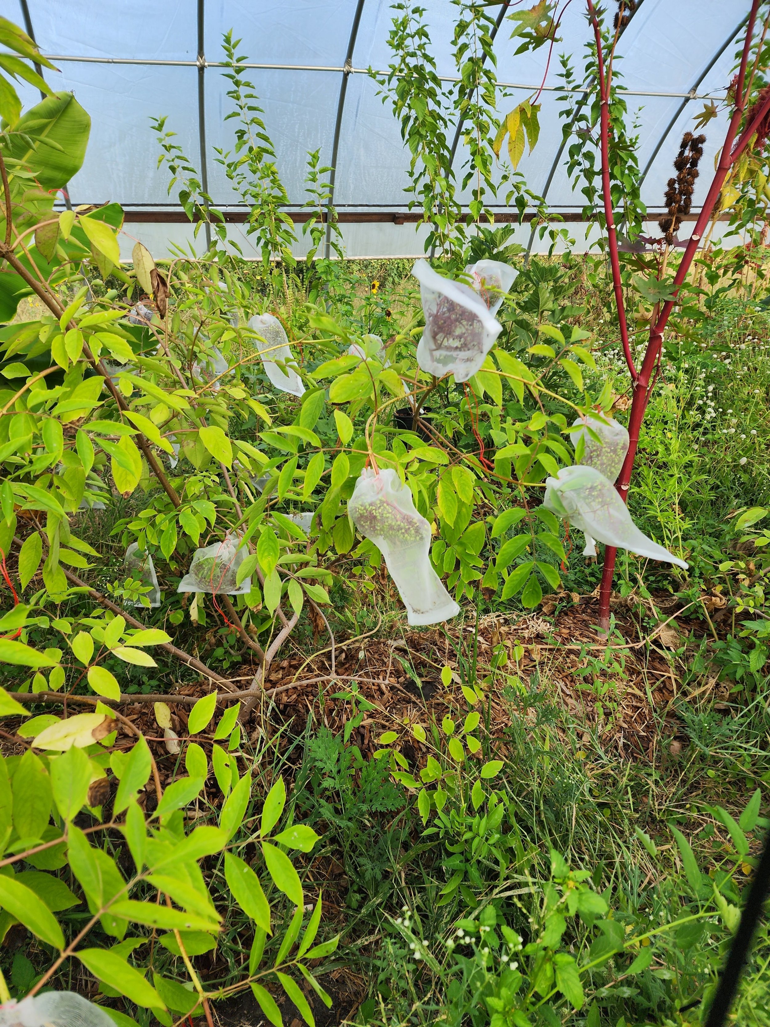 processed_20230727_080234.jpg