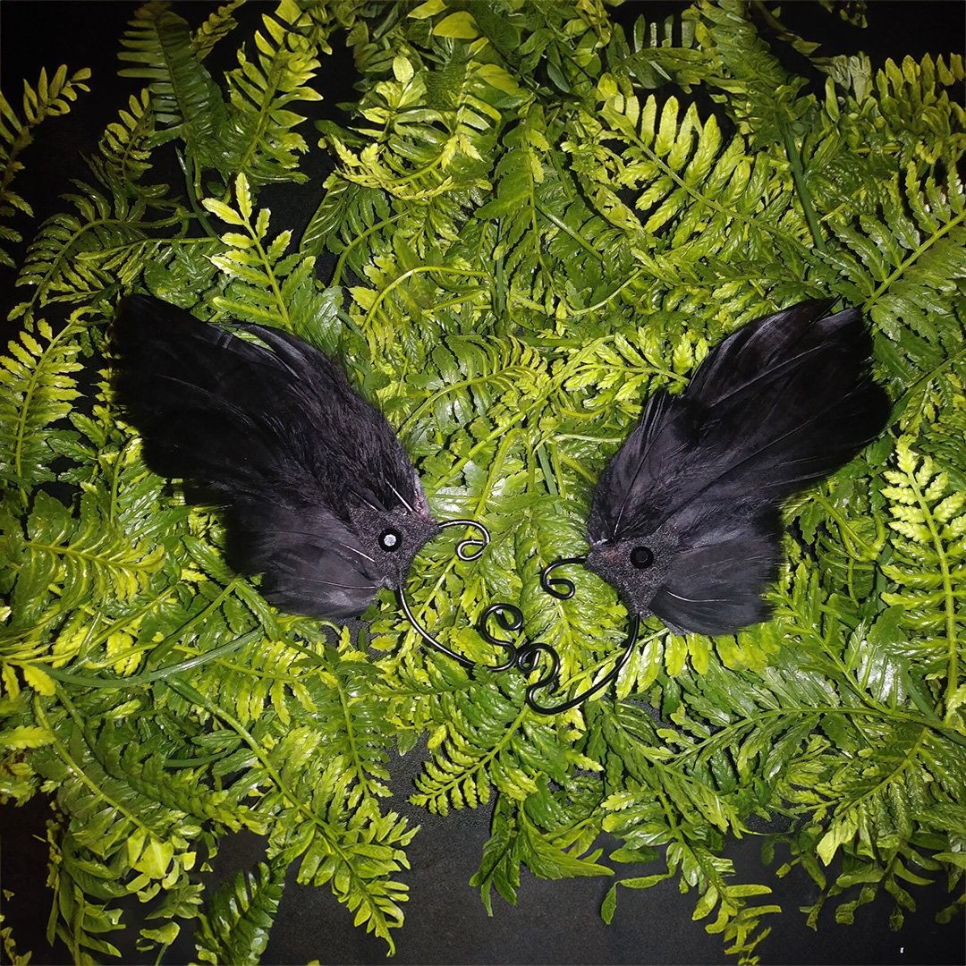 04_crowraven.jpg