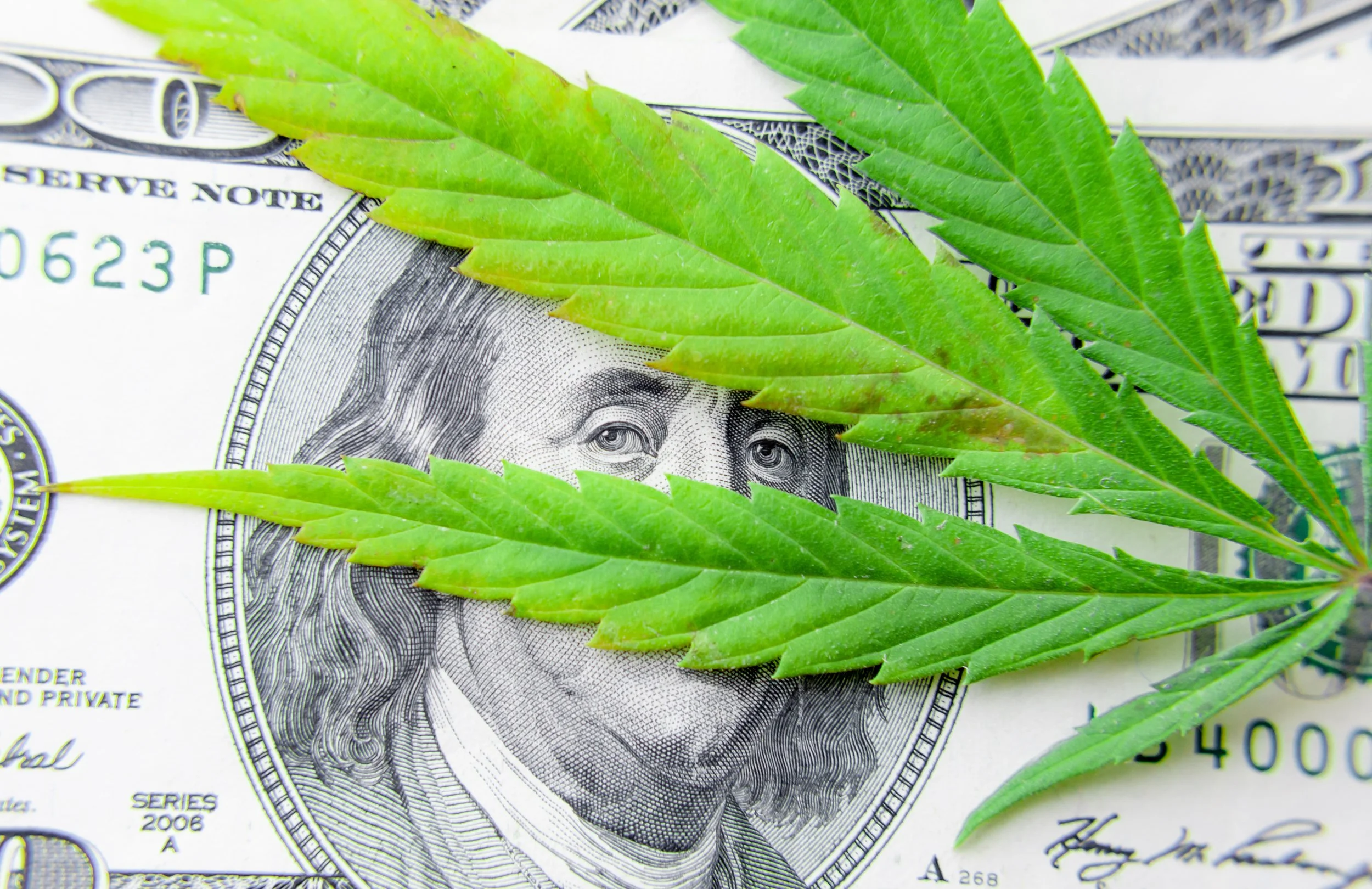 cannabis debt