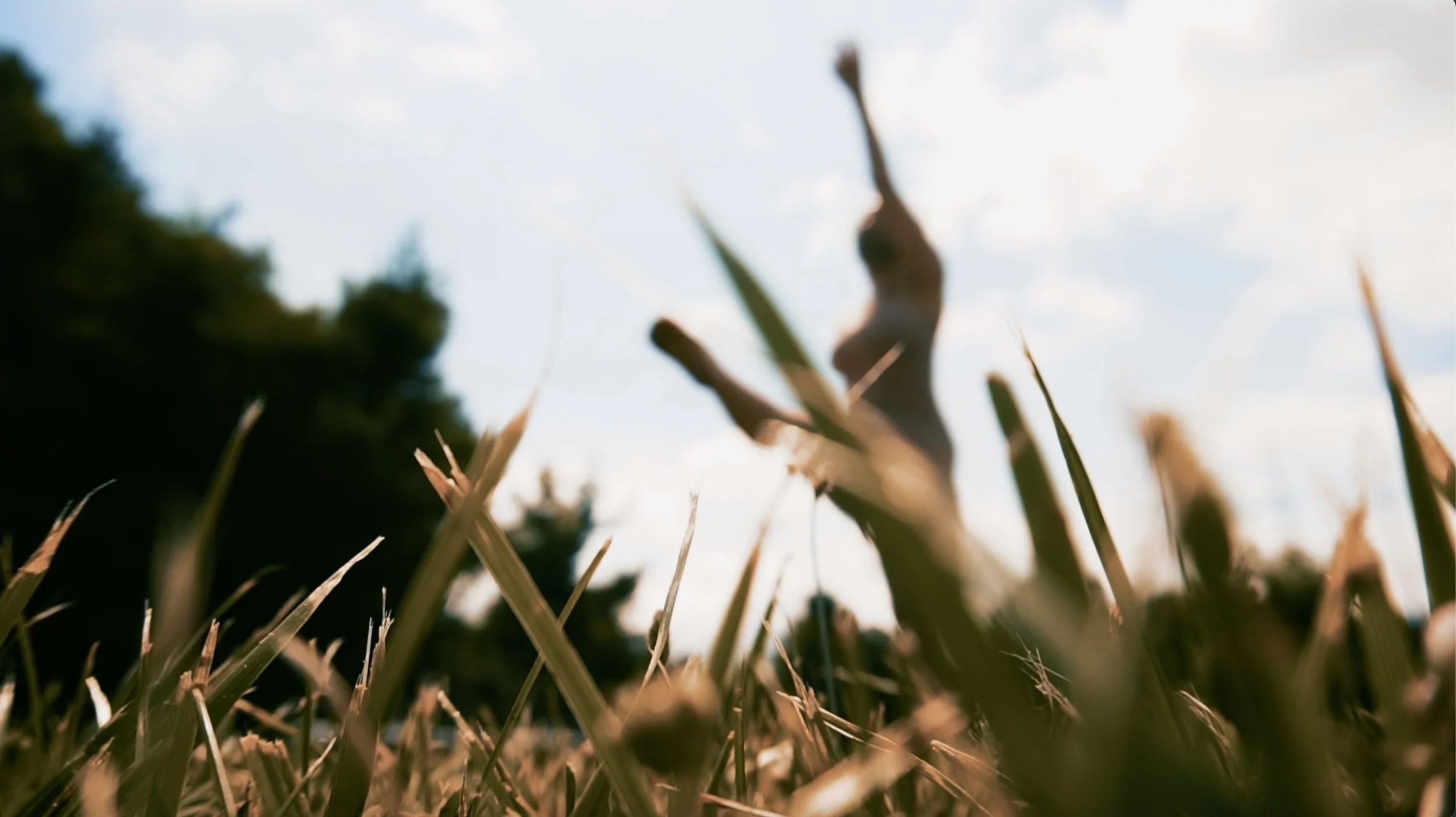 Screen Shot 2021-12-23 at 7.48.19 PM.jpeg