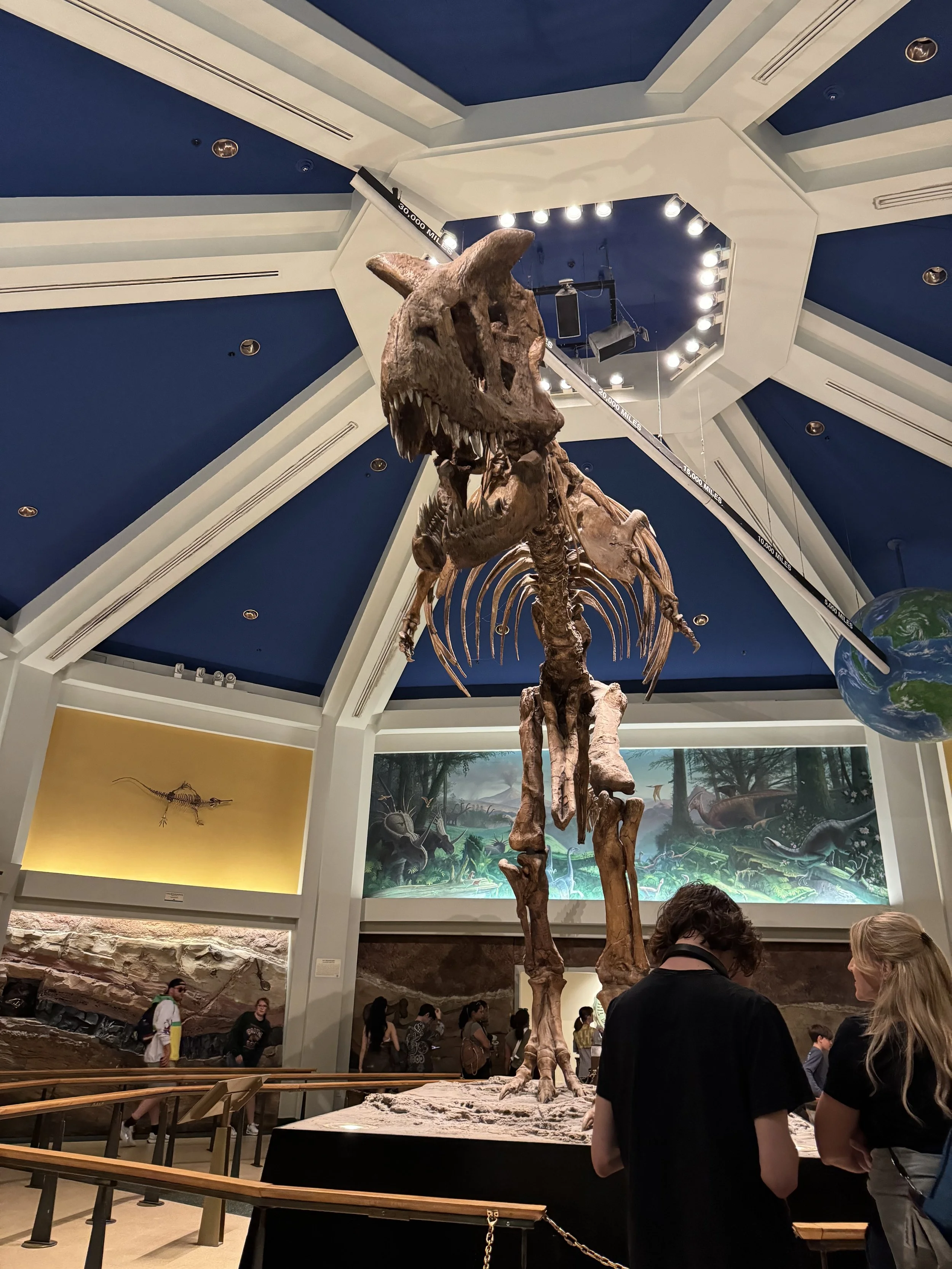 Large dinosaur bone model in the center of the DINOSAUR queue inside a museum looking building