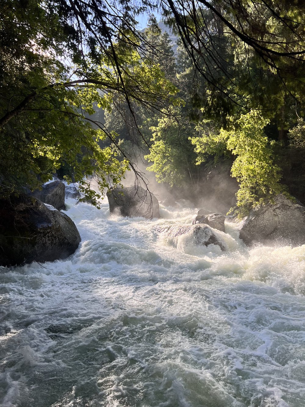  Water crashing against rocks with trees above and the sun shining from the left 