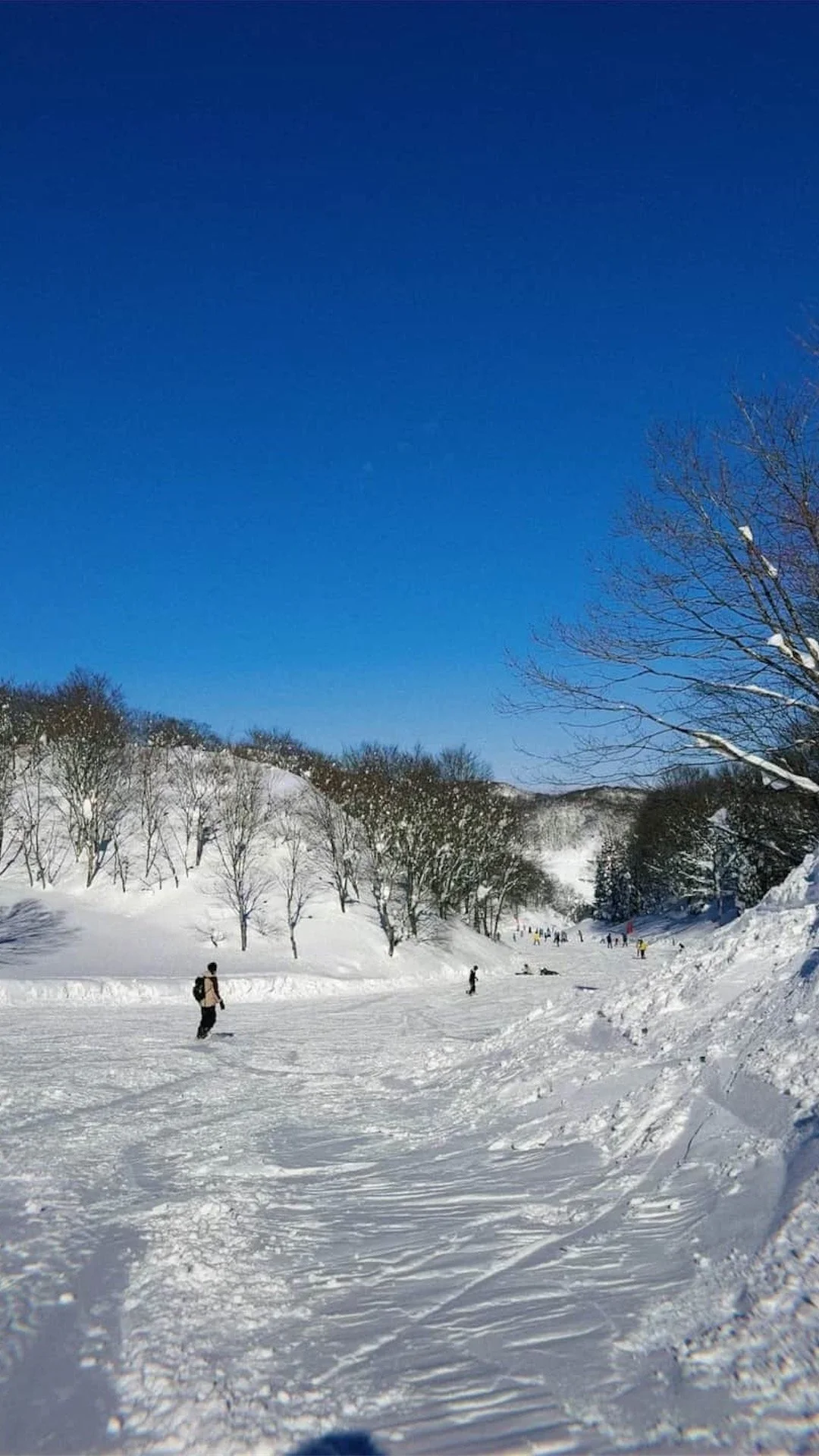  Snow slopes with snowboarders at Gala Yuzawa 