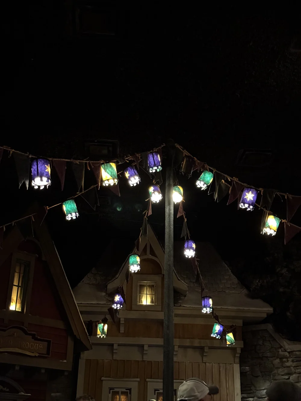  Lanterns in the Frozen Ever After ride queue 