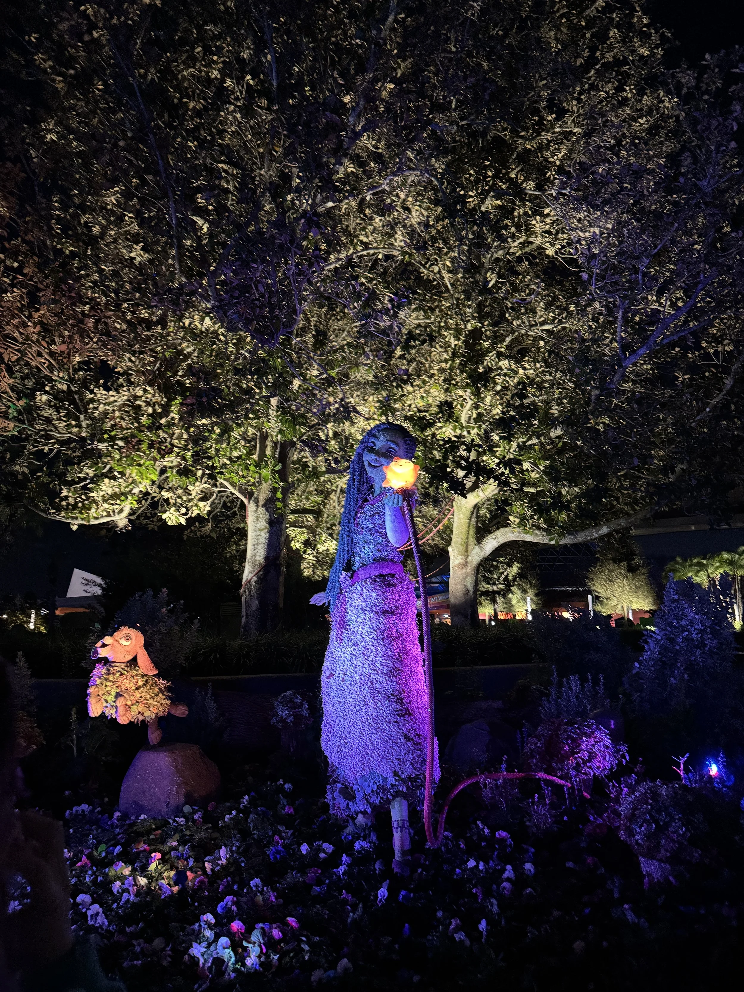  Wish topiary 