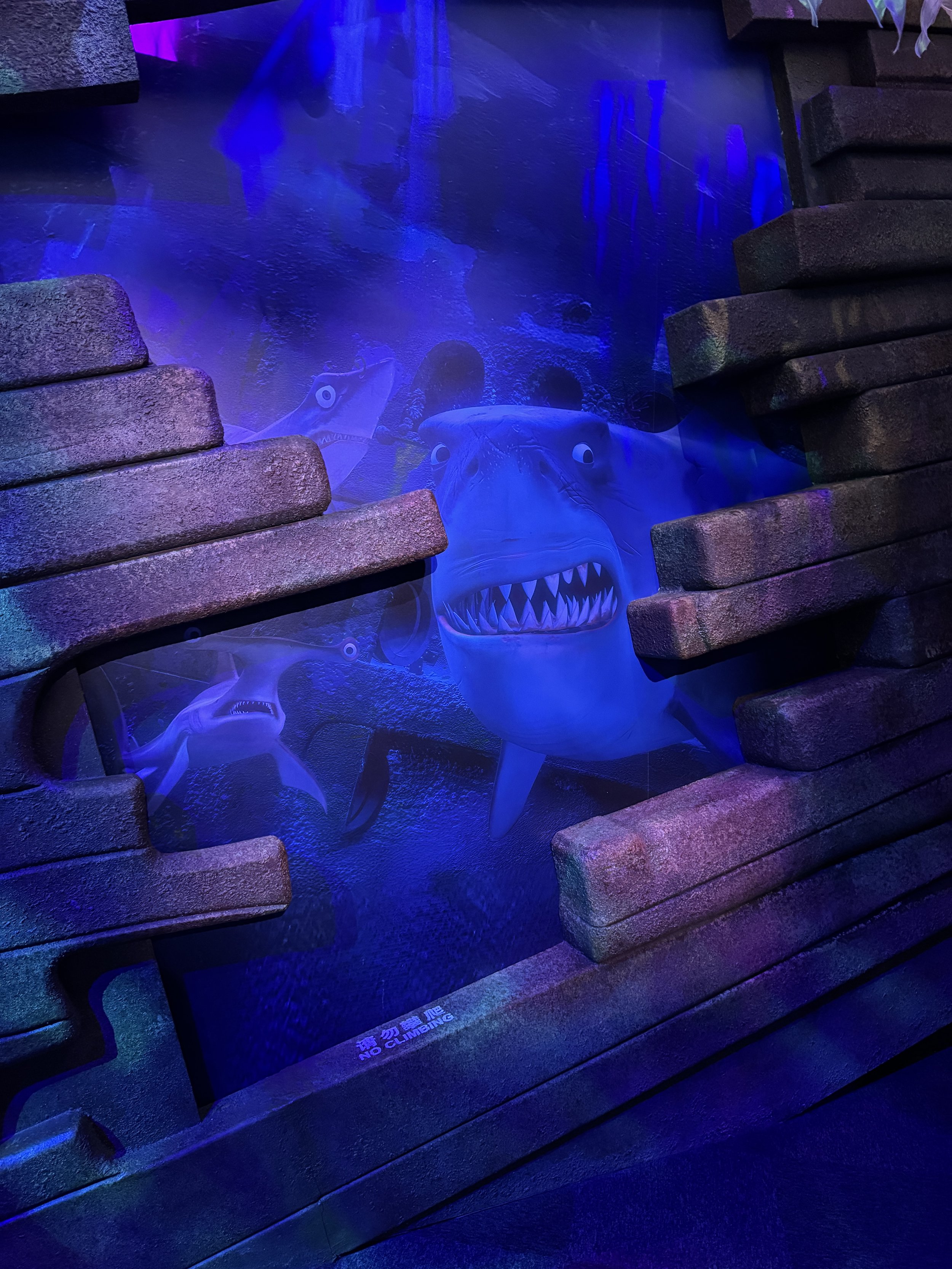  Bruce from Finding Nemo 