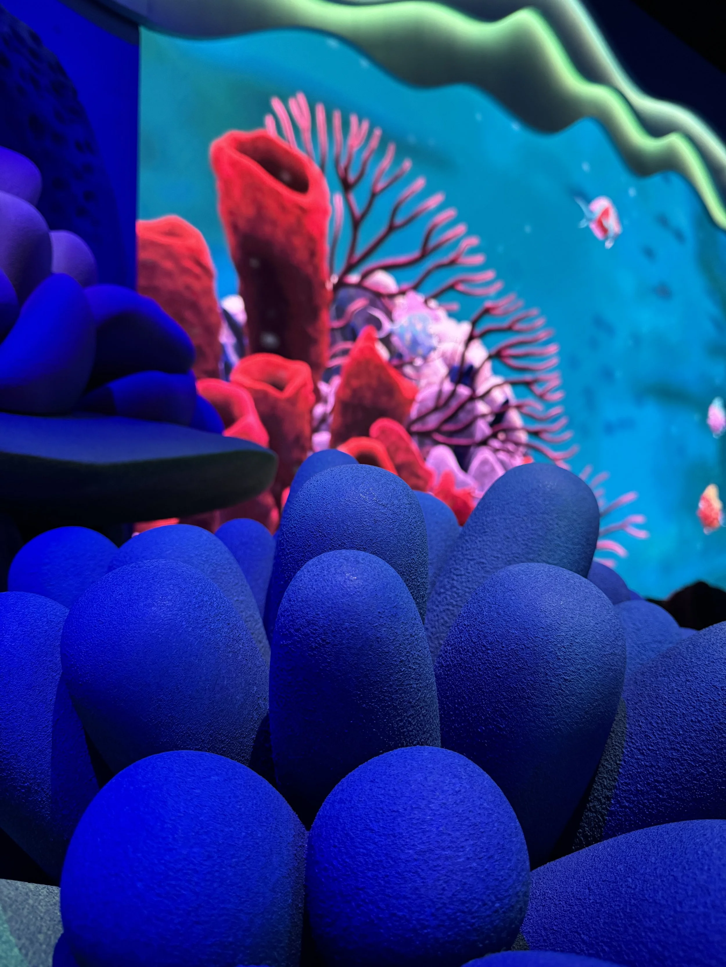  Finding Nemo section 