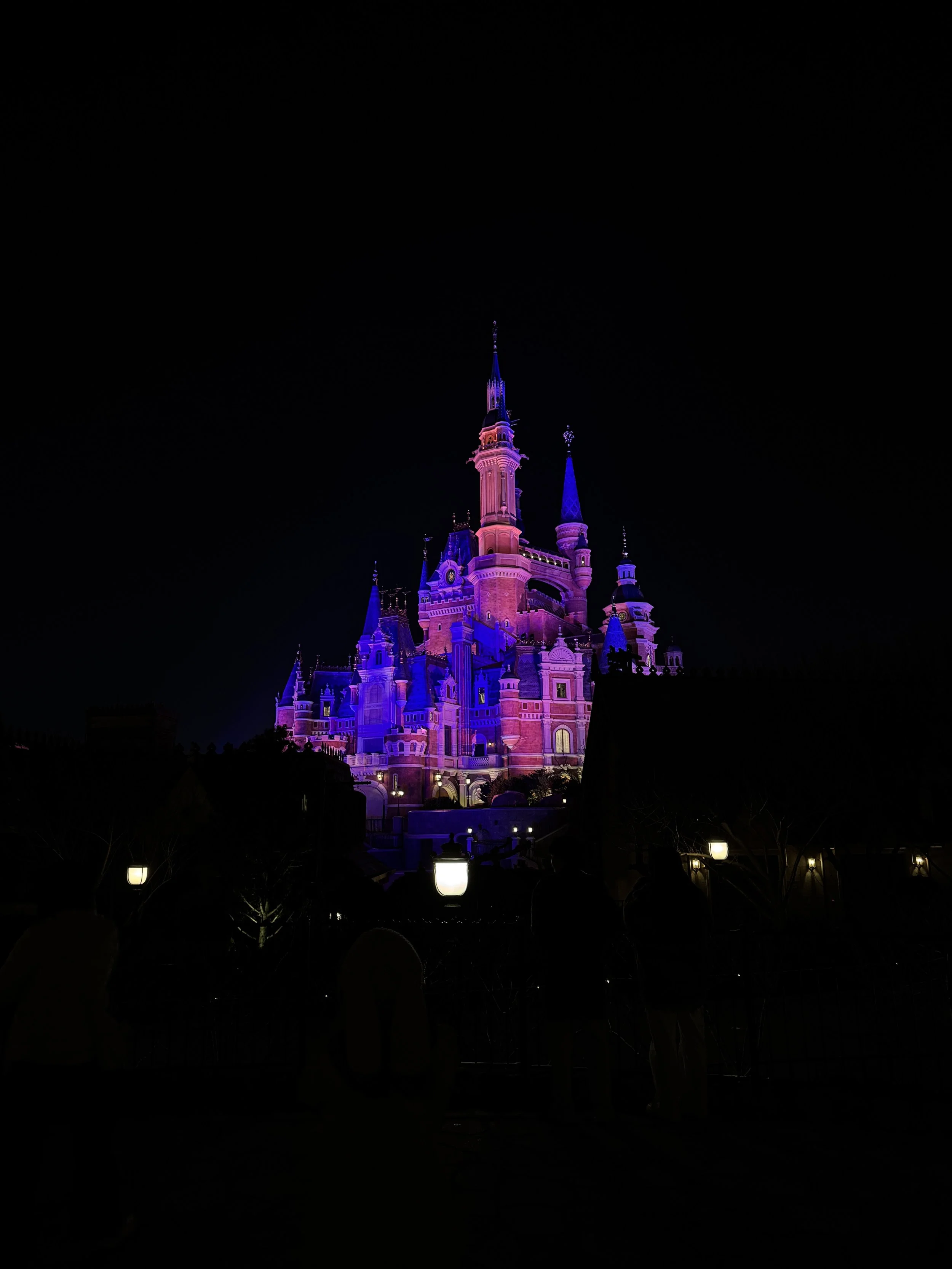 Castle lit up at night at Shanghai Disneyland