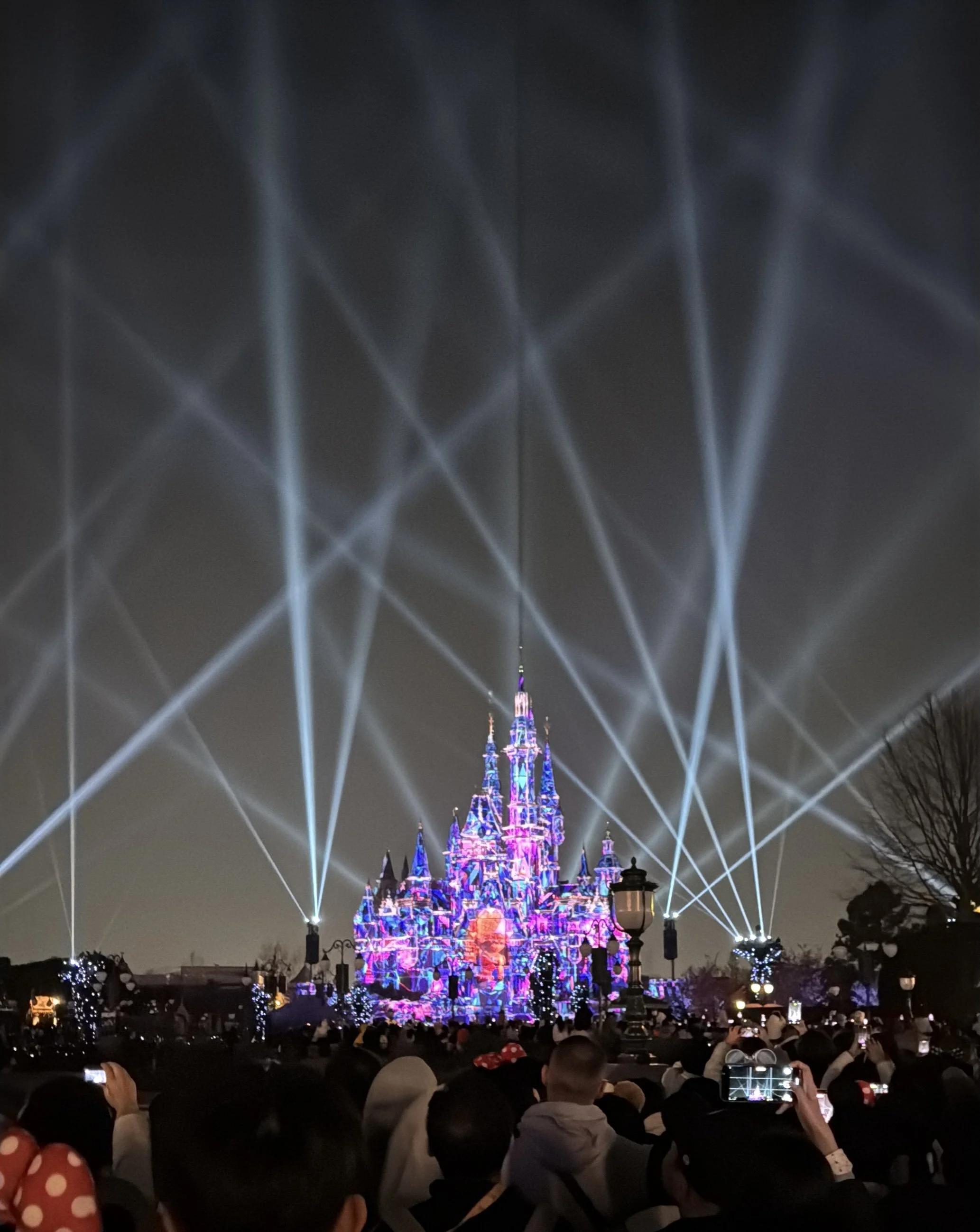  Castle projections and lights 