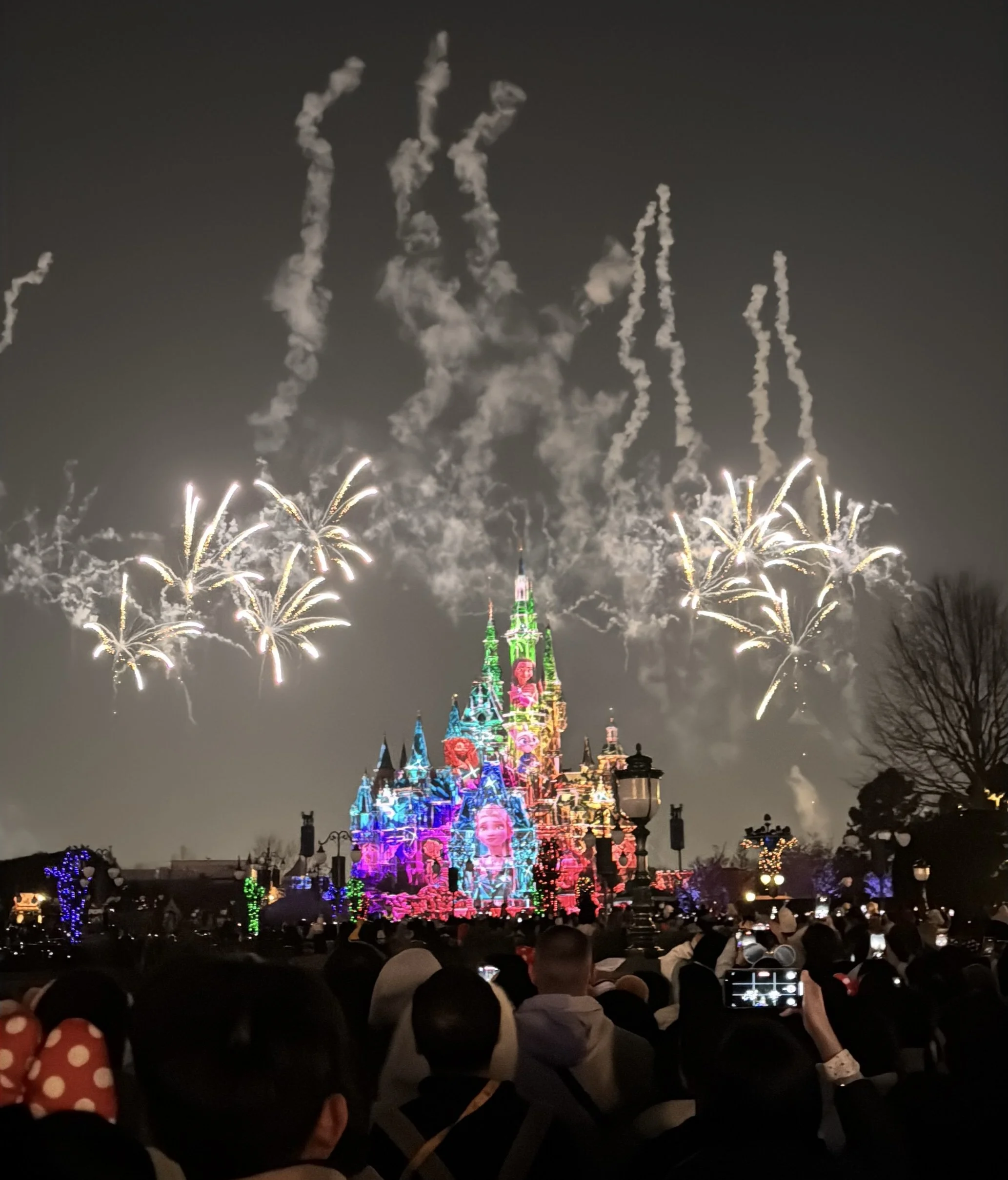  Fireworks at the castle 