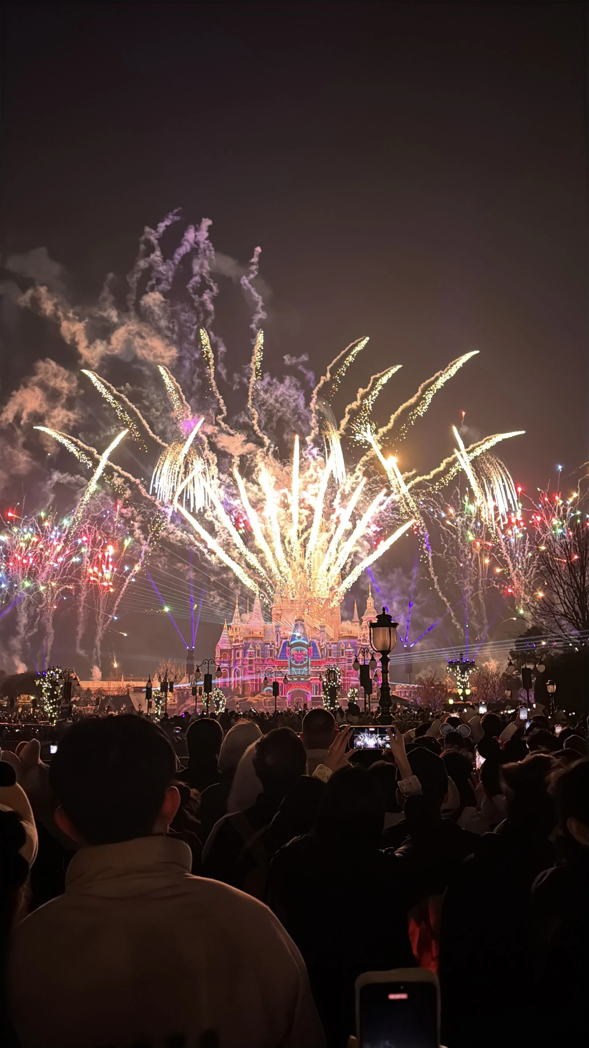  Fireworks at the castle 