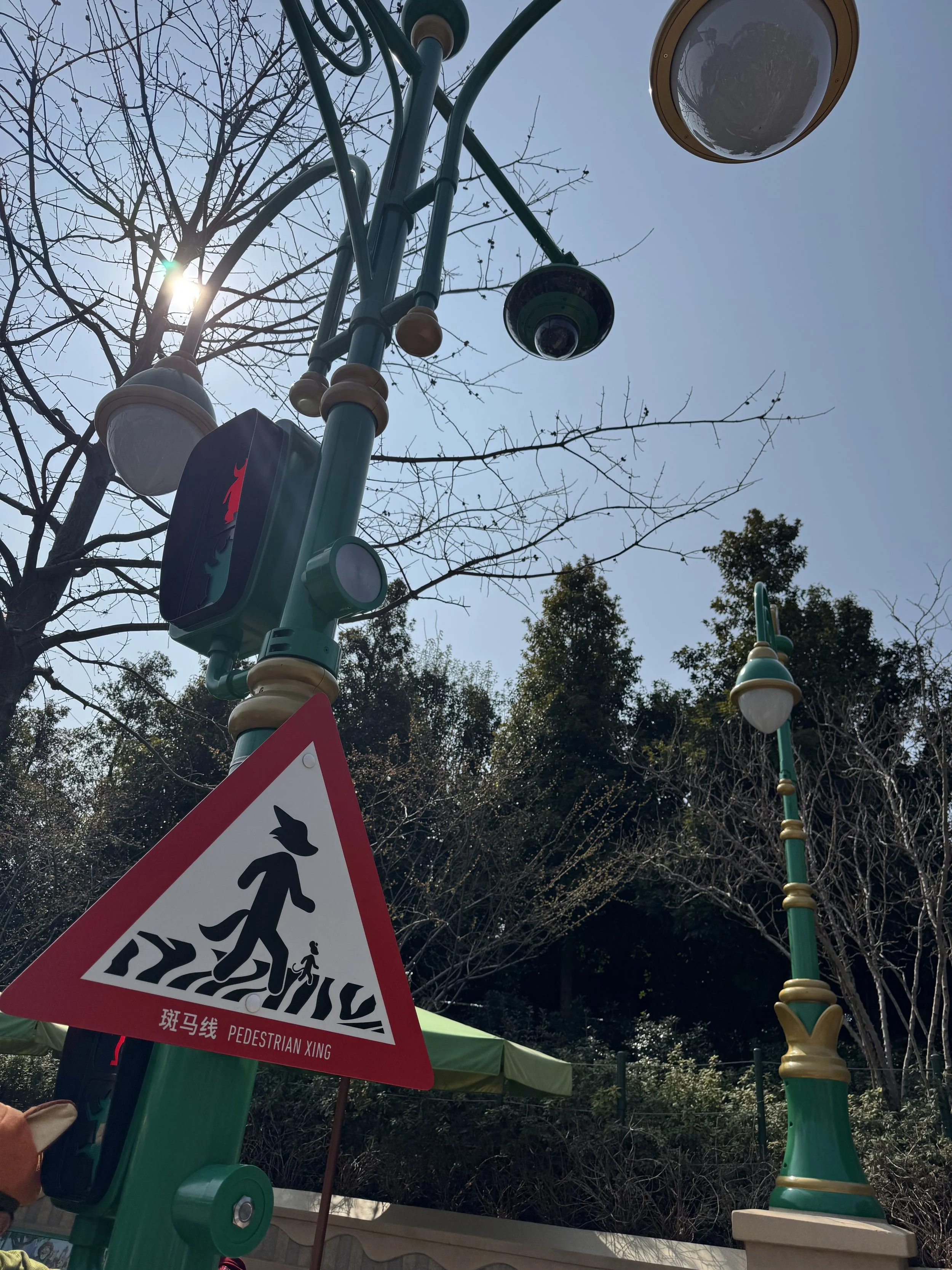  Traffic light and street crossing sign in Zootopia 