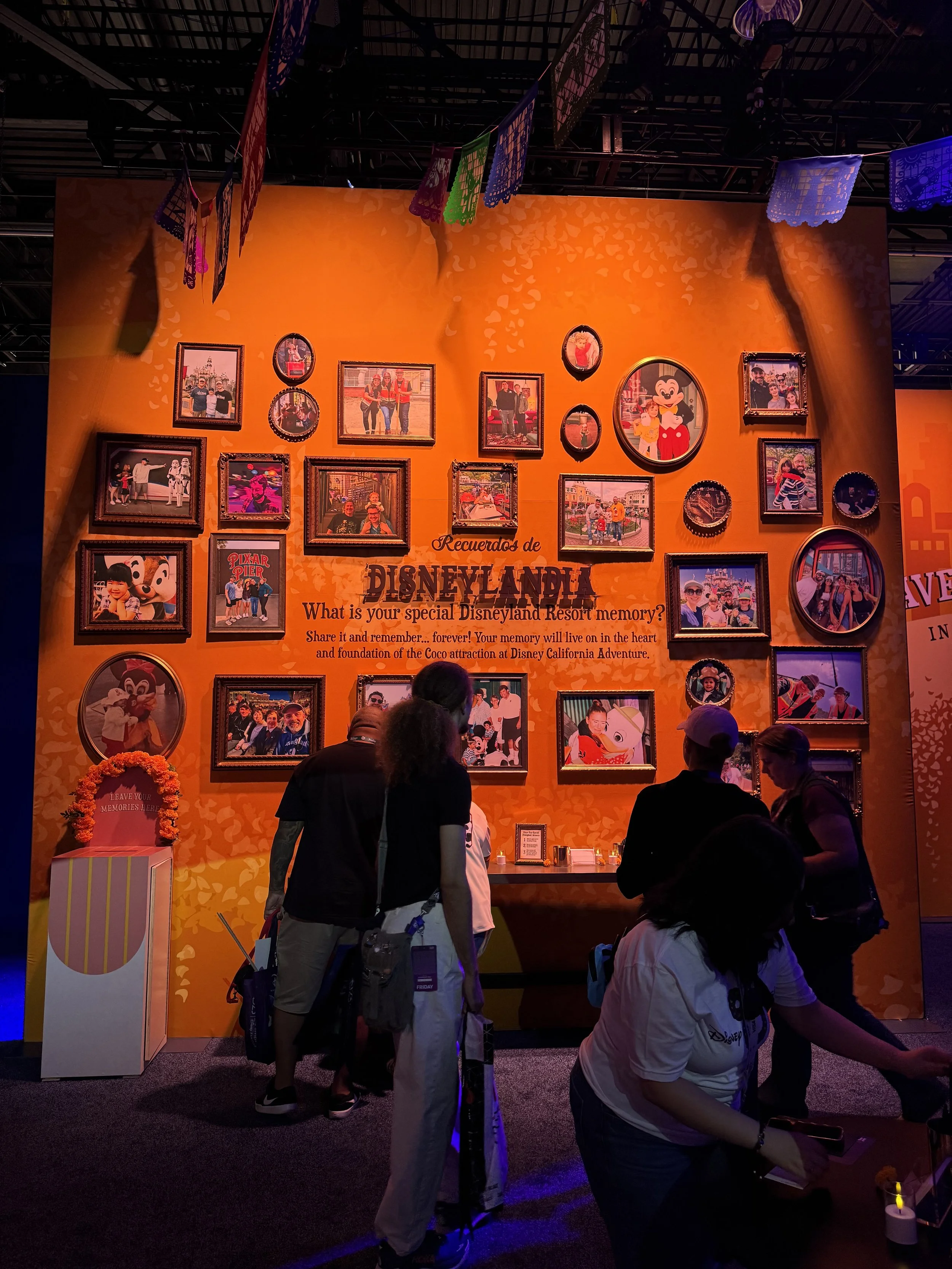  Disneylandia - Coco attraction messages 