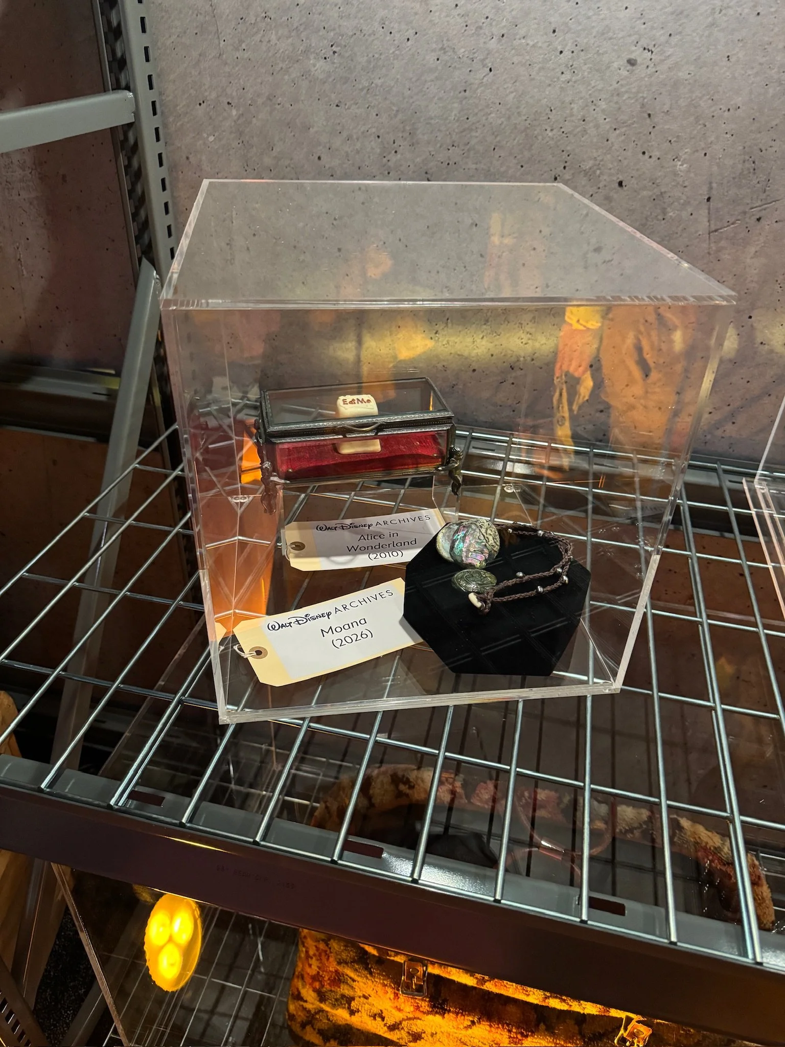  Moana (Live Action) props 