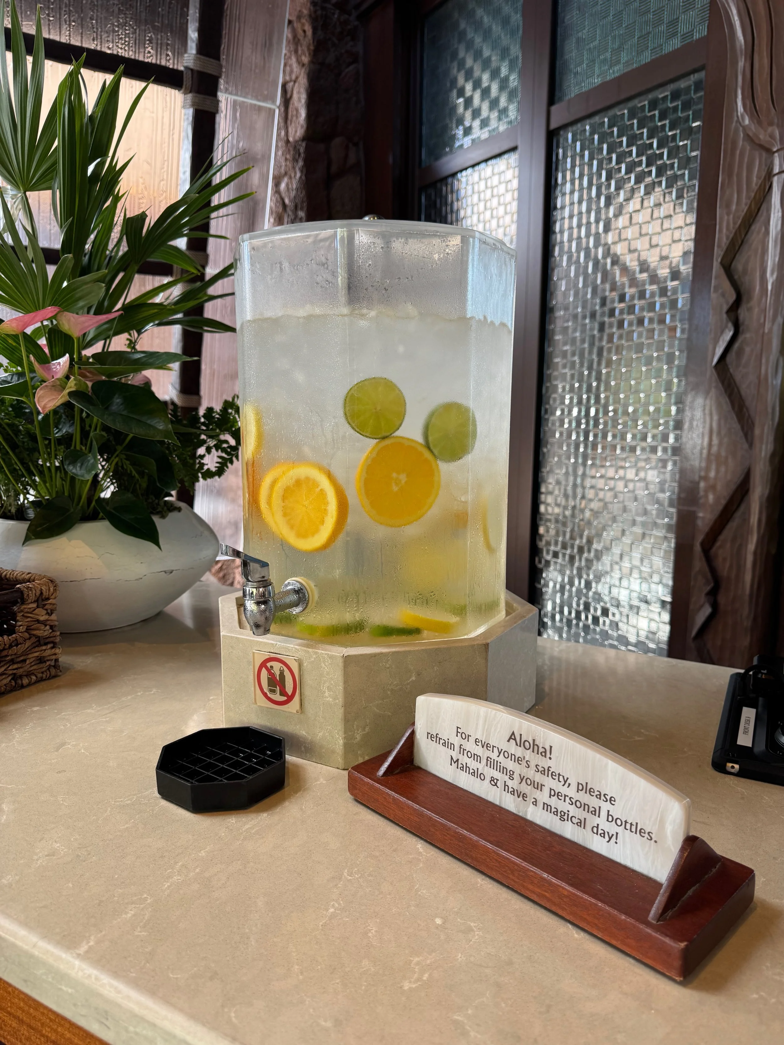 Hidden mickey lemon and lime slices in a water container