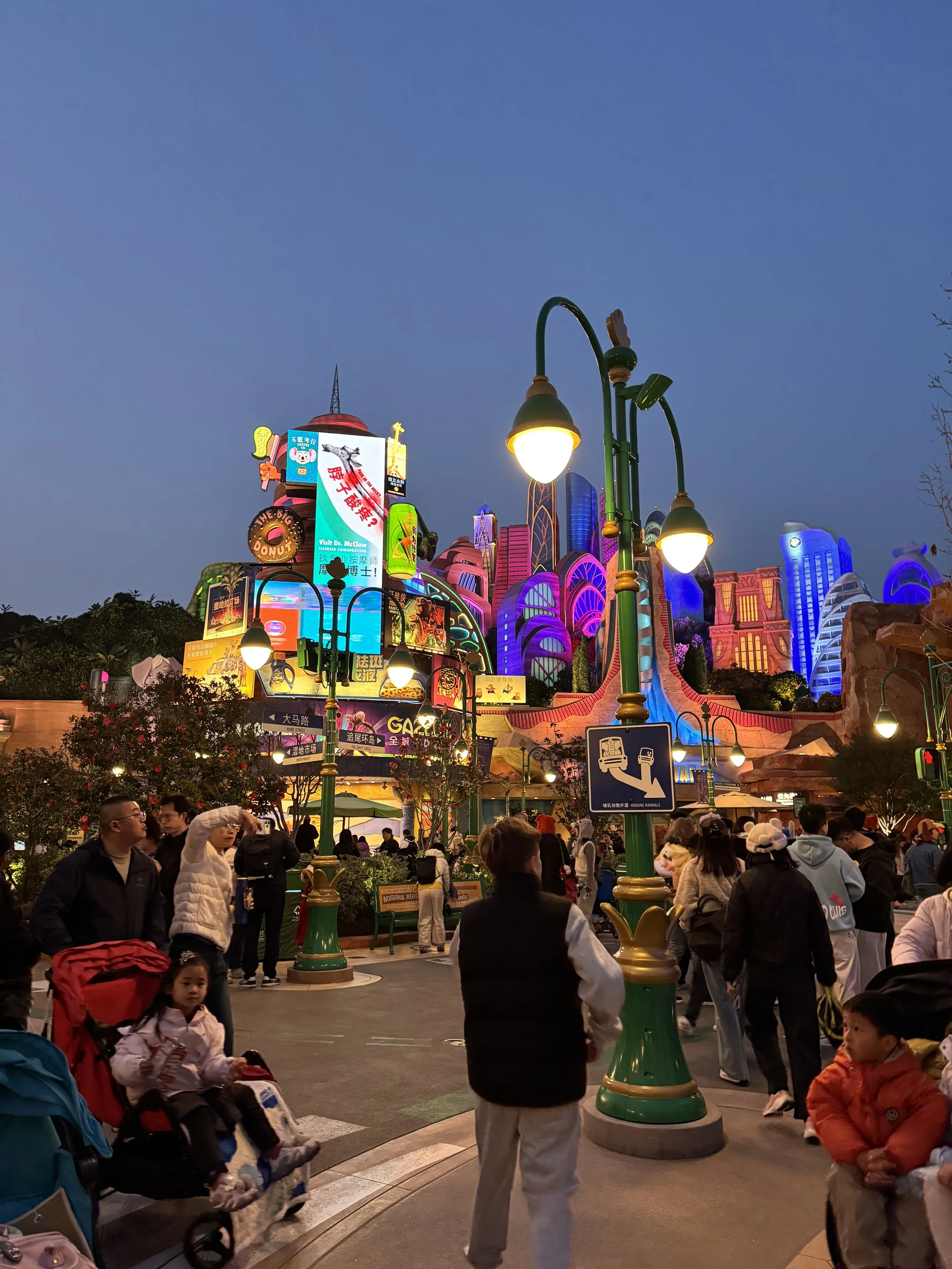 Zootopia lights at night