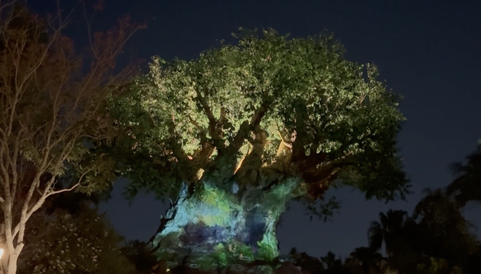 View of the tree of life in animal kingdom at night with light projection shows on it