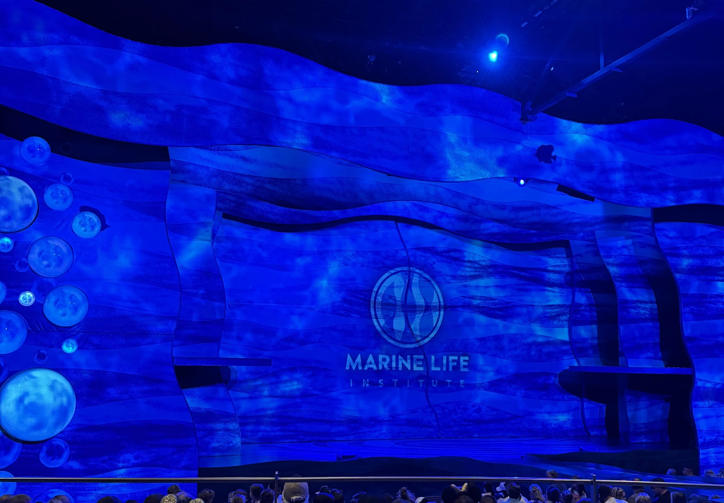 Stage with blue lighting with a symbol for the Marine Life Institute in the center