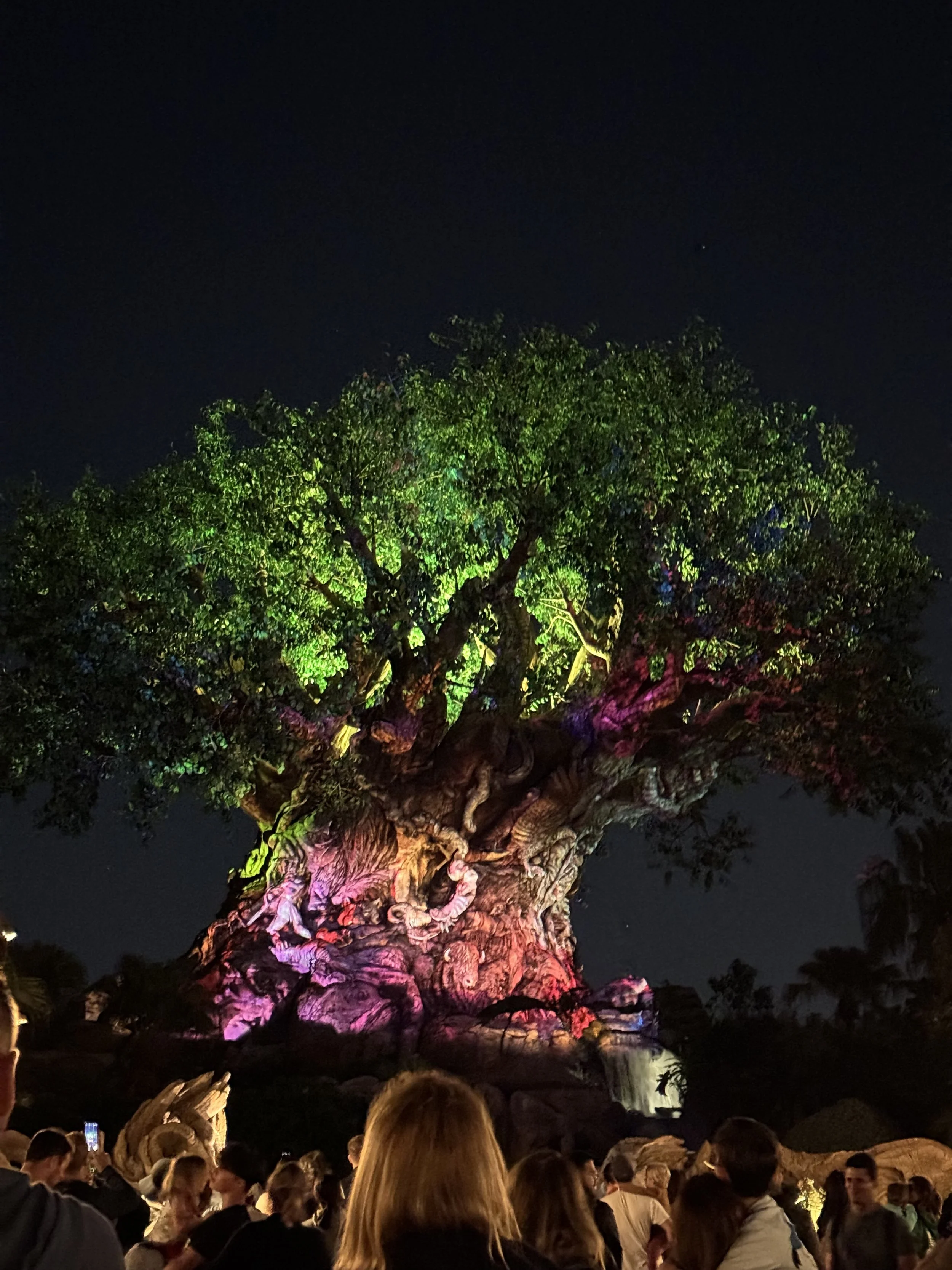 A large tree with different colored lights shown on it in the dark