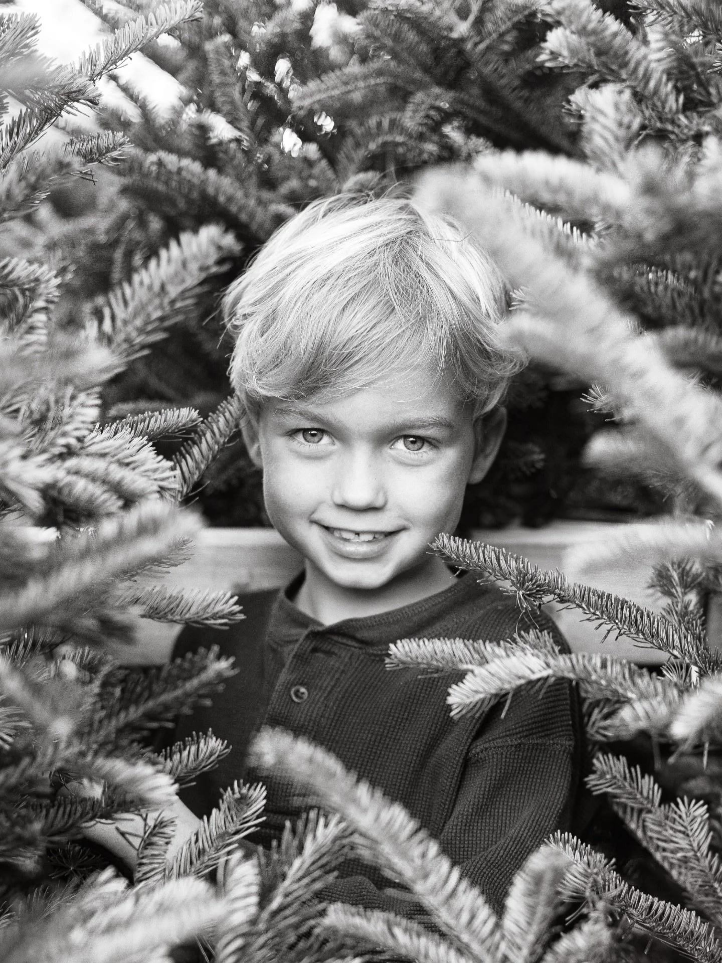 Christmas tree minis opened to subscribers this morning! Check your inbox for the link! 🌲 These sessions take place at @courtneychristmastreesllc off of Main Street. A great opportunity to support 2 local businesses!
.
.
.
#direbloomphoto #northgaph