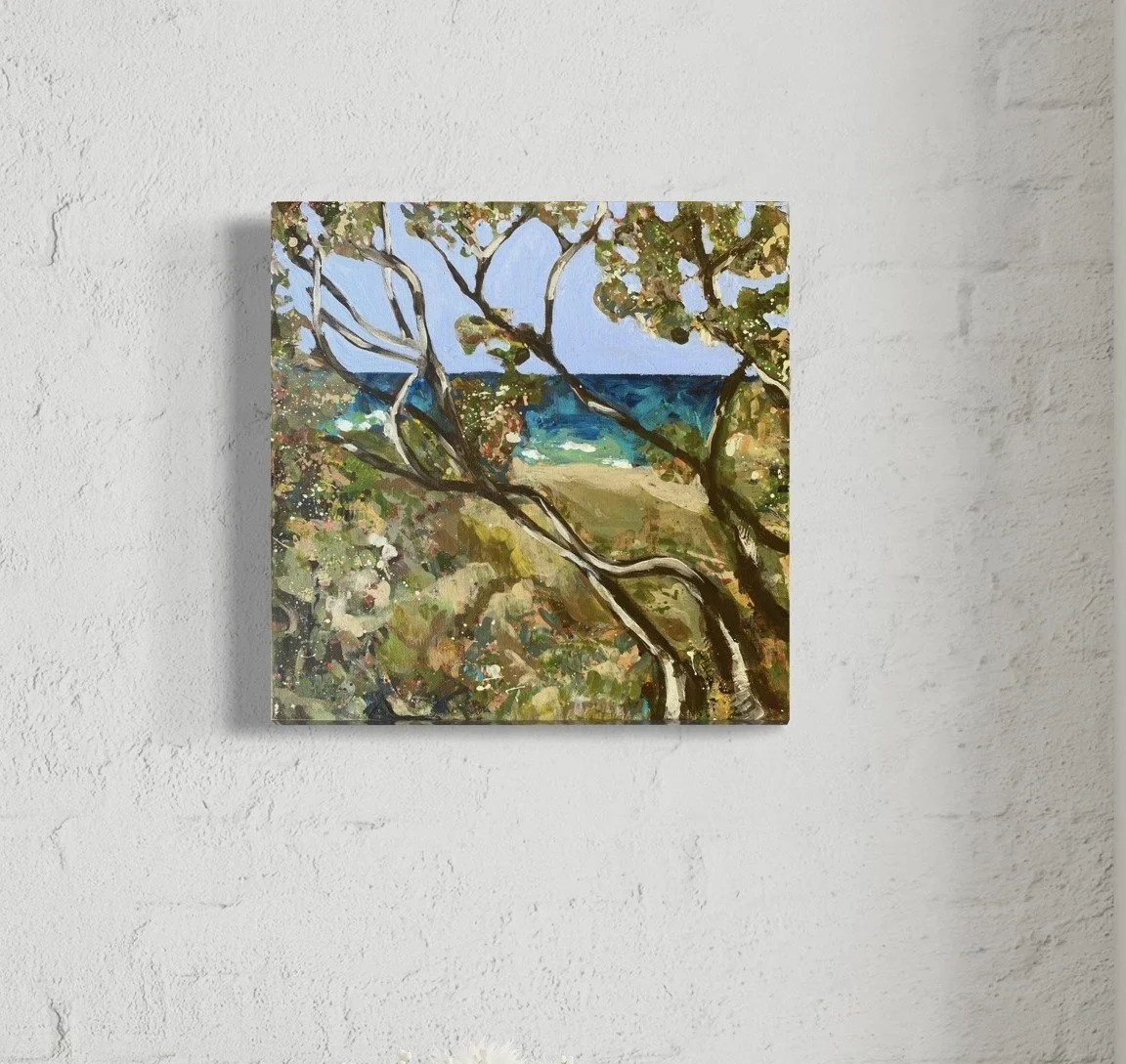 Glimpse: Third Bay Coolum