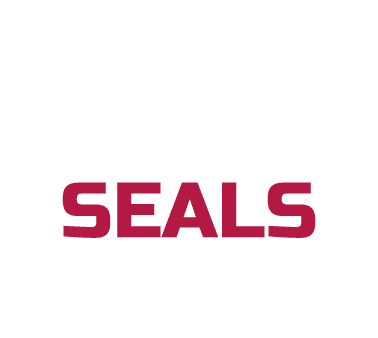 ENGINEERING SEALS, MECHANICAL SEALS, FLUID SEALING
