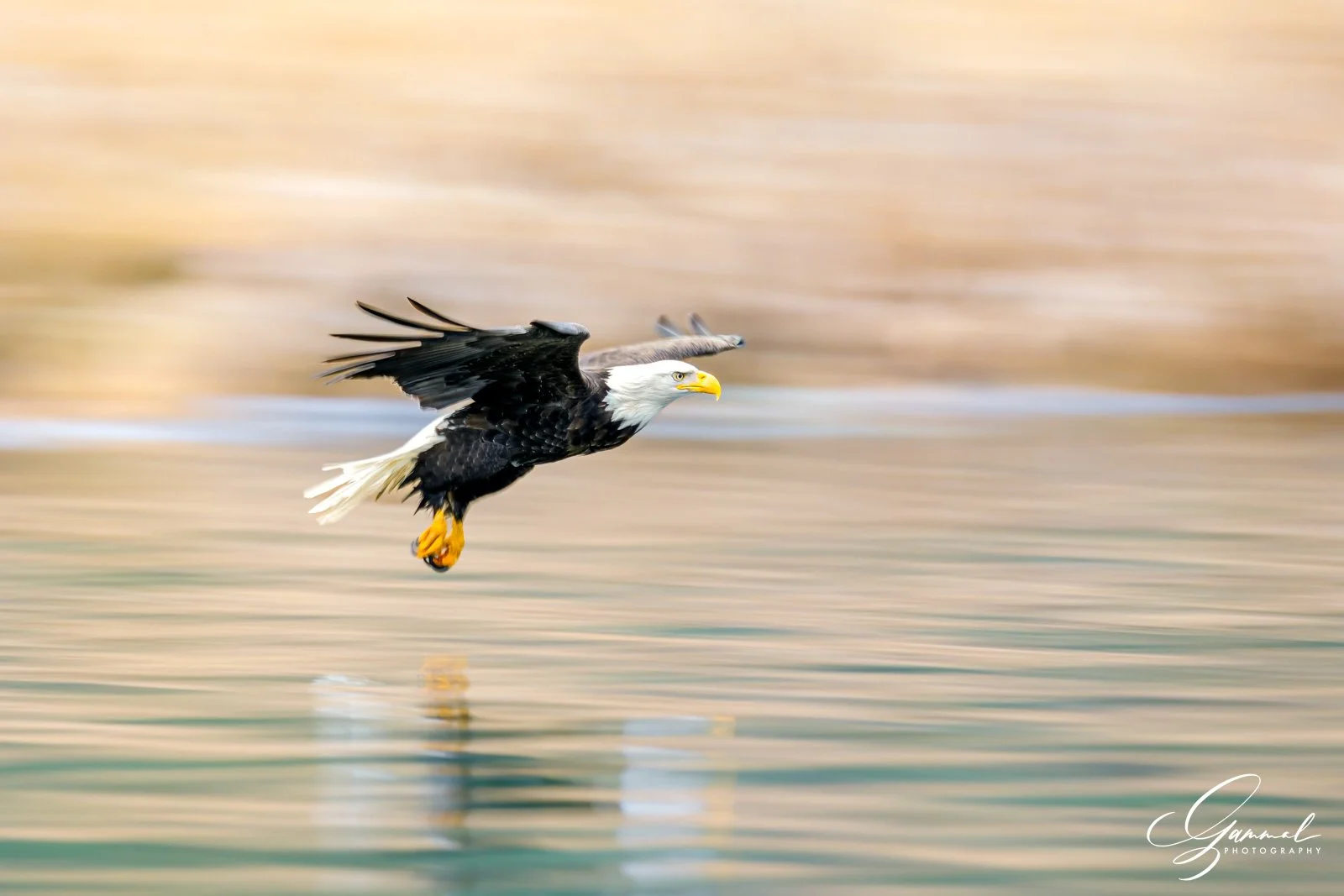 _S4A1681-Edit-5.jpg
