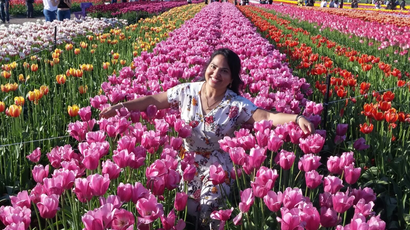 Abbotsford Tulip Festival