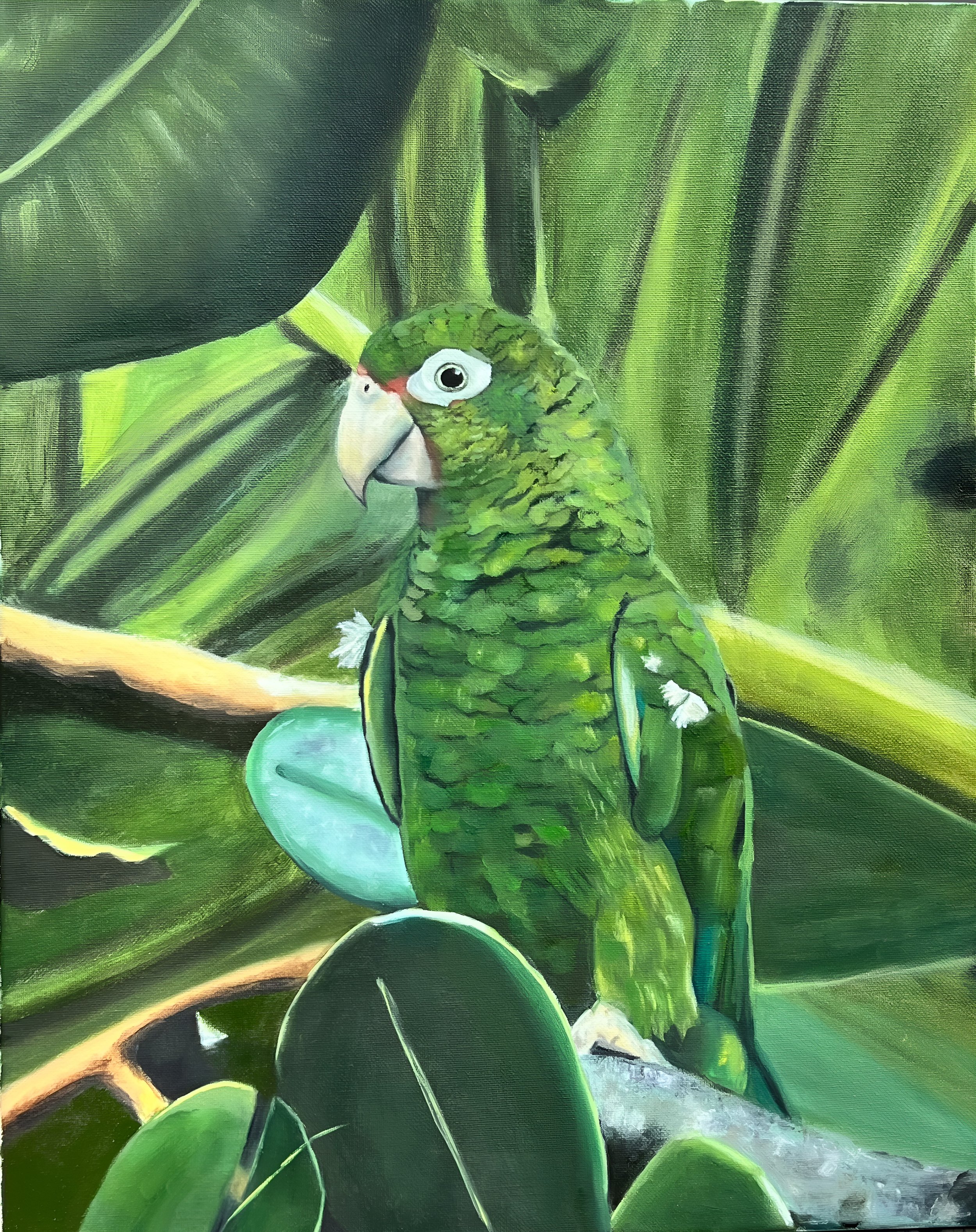 Painting of a green parrot among large green leaves in a tropical setting.