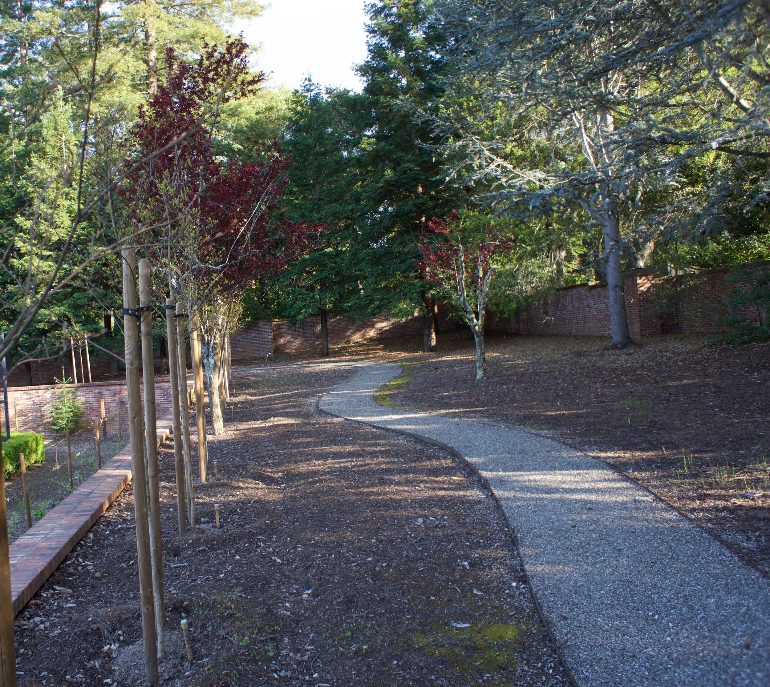 plum-tree-path-v2.jpg
