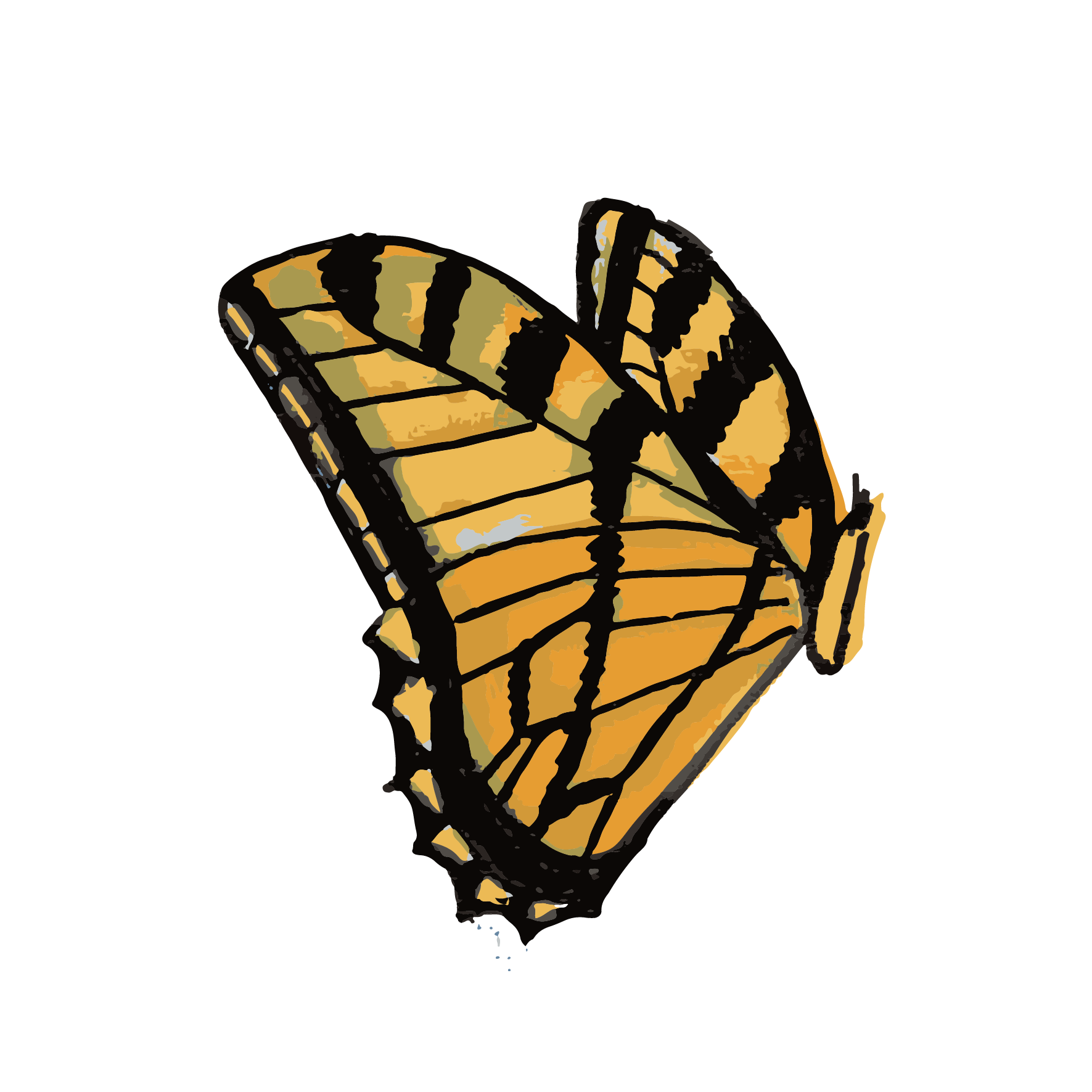 ALL Illustrations - transparent-07.png