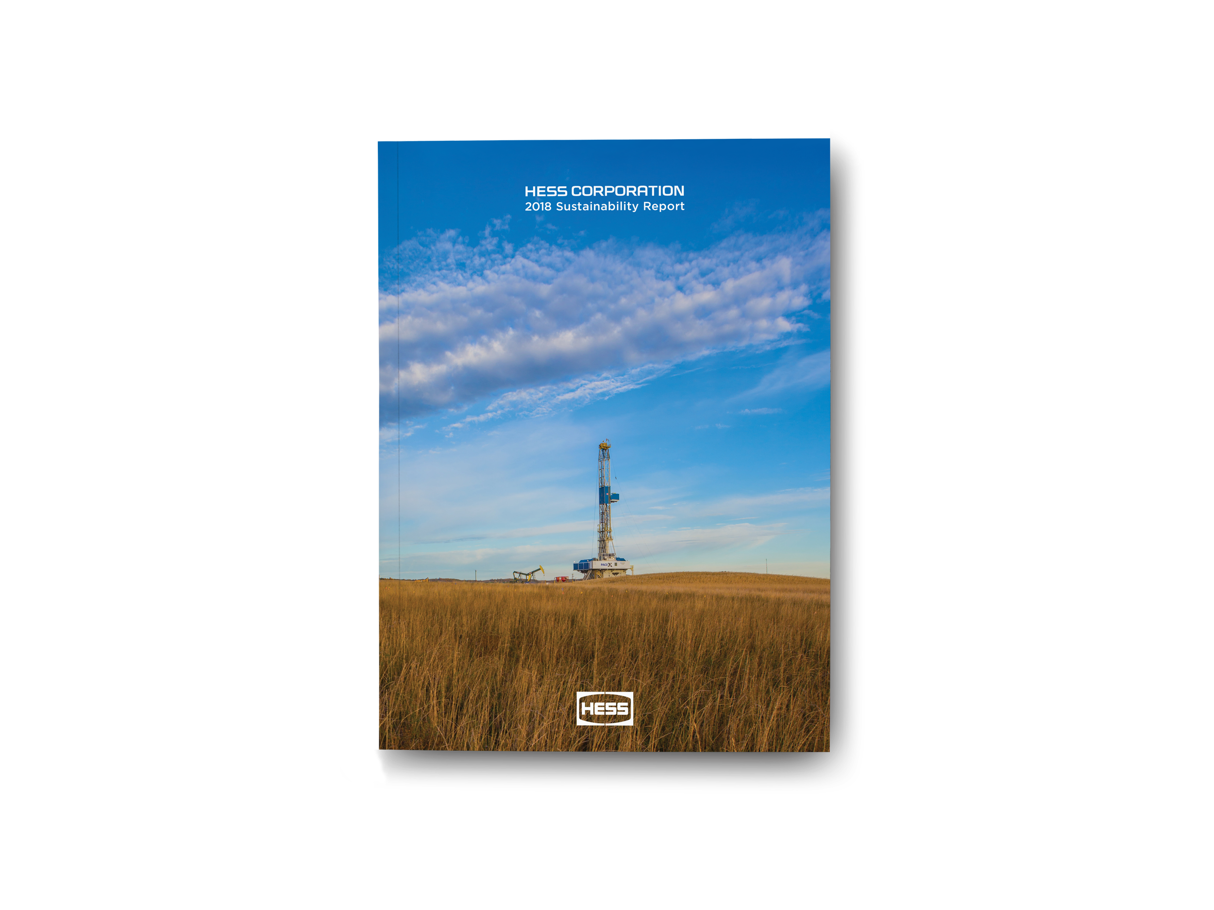 hess cover.png