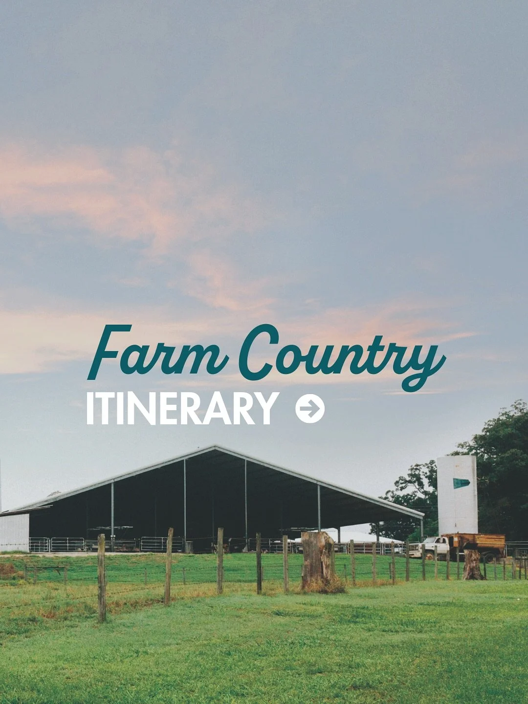 Spend a day in McDuffie County’s farm country and experience the charm of small-town Georgia.
Start with coffee and pastries at The Caffeinated Heifer on Main St., then head to Hillcrest Farm for a look at robotic milking and sustainable dairy