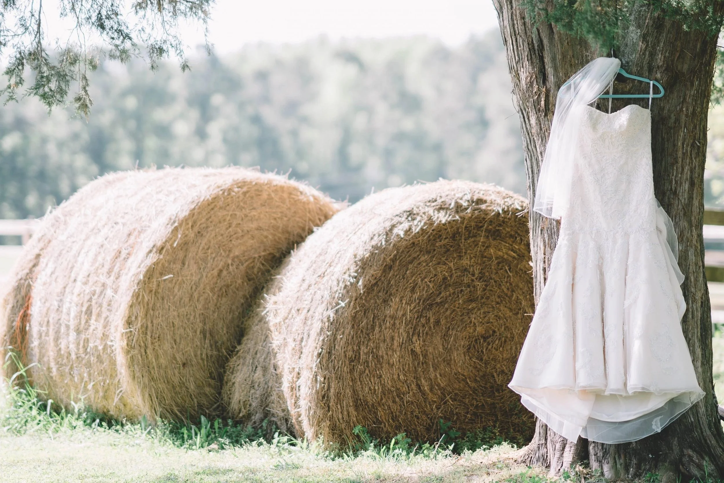 Planning a McDuffie Wedding? Check Out These 5 Gems