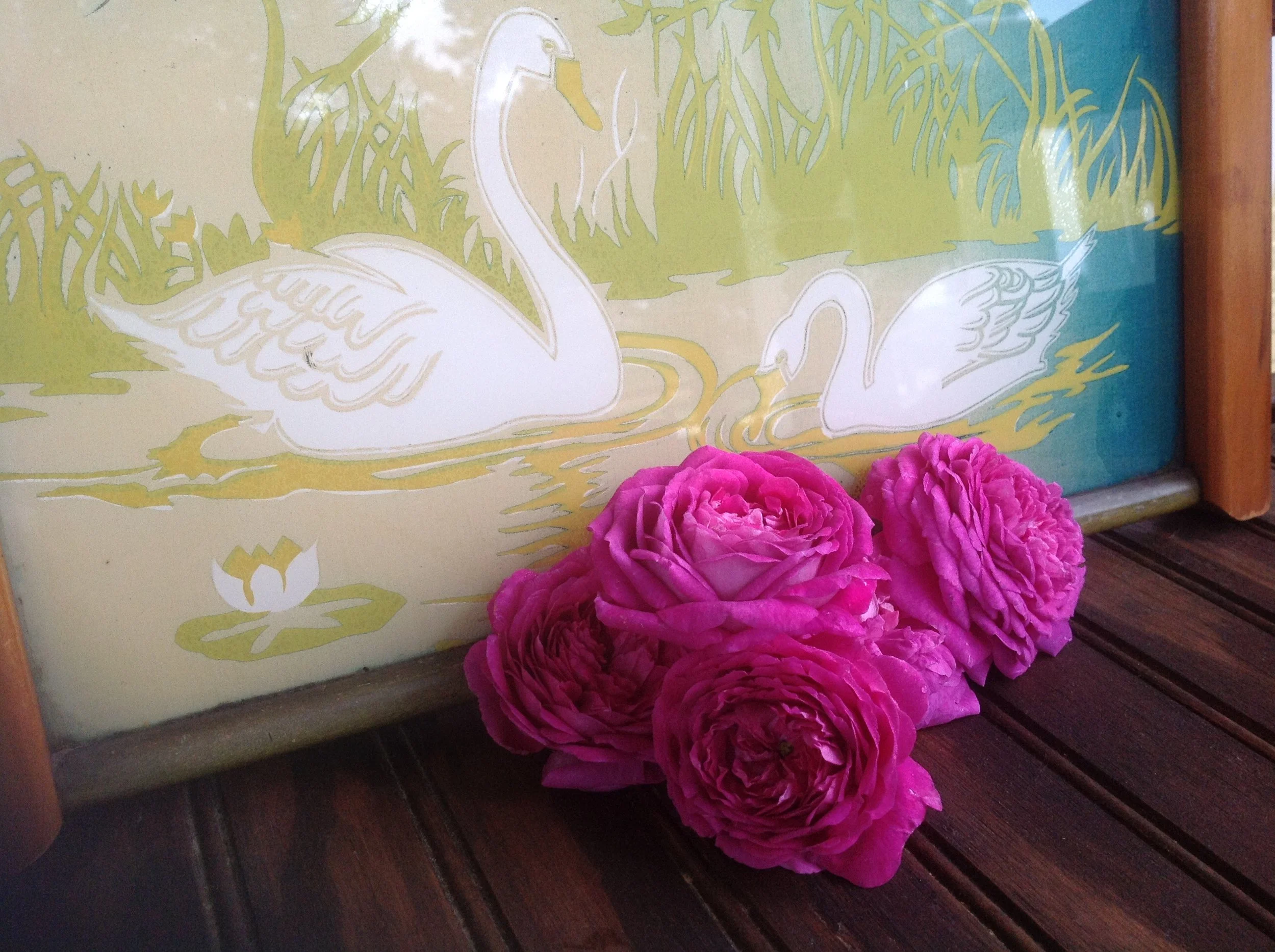 The Perfect Mother’s Day in Thomson, GA