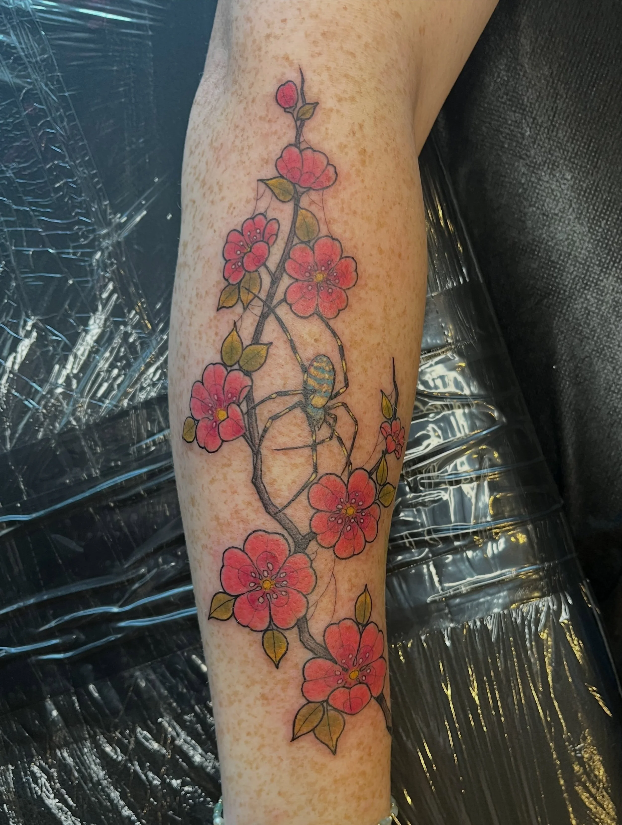 Got to do some cherry blossoms with a Joro Spider!!! 
Really happy with how this turned out! 

#cherryblossomtattoo #colortattoo #spidertattoo #greenvillesouthcarolina #ainsleyvtattoos