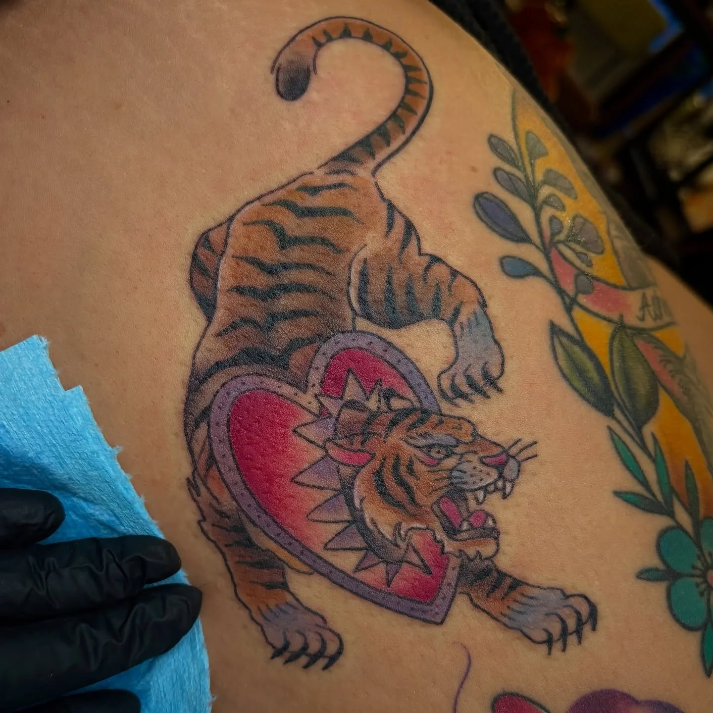 On Christen last week! 🫶🏻🐯❤️

#bigkitty #traditionaltattoo #tigertattoo #torchandcrowntattoo #yeahthatgreenville