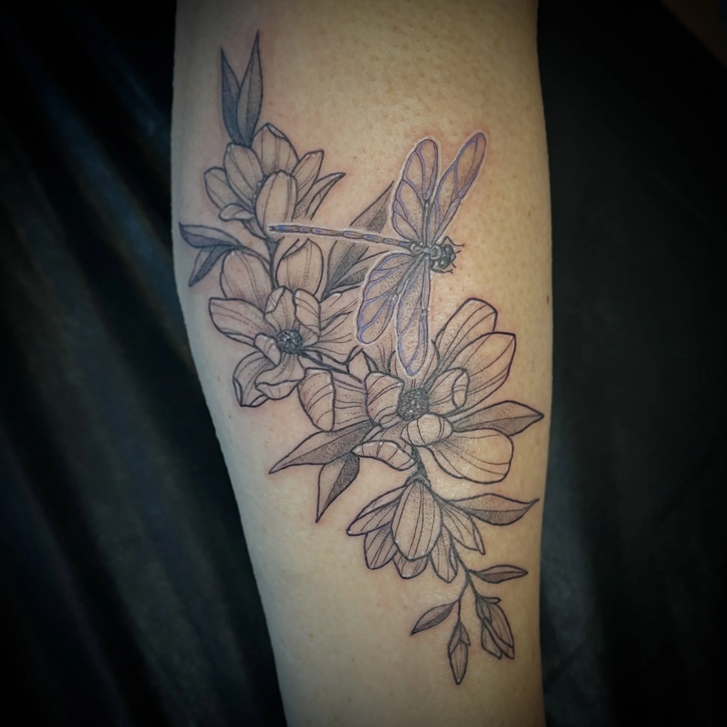 Magnolia flowers with a dragonfly representing family for Kerry! Fun little pop of color in the dragonfly! 

Will always enjoy tattooing florals and bugs! 

#magnolia #floraltattoo #blackandgreytattoo #dragonfly #ainsleyvtattoos