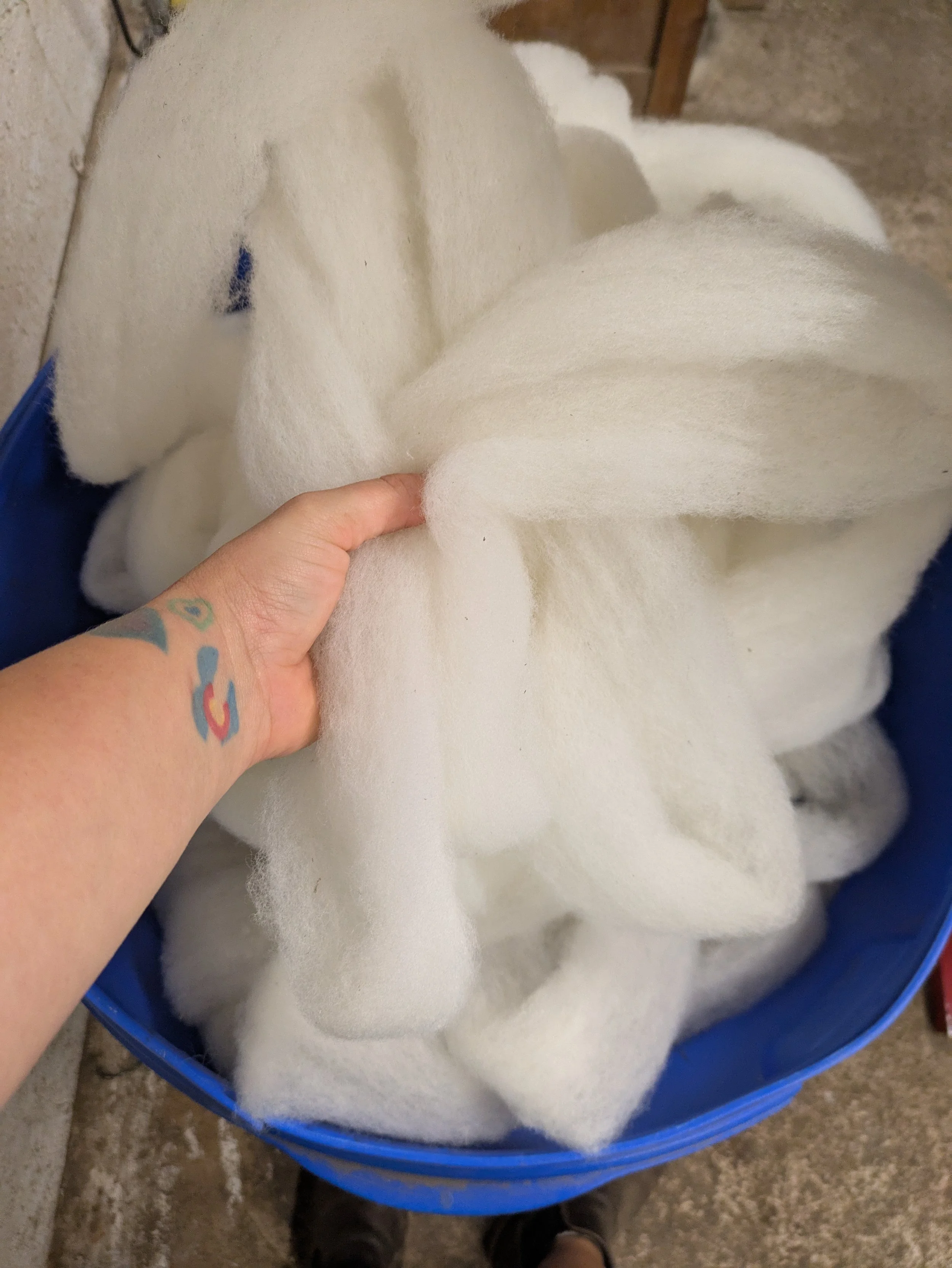 Carded Roving from the Utah Wool Pool