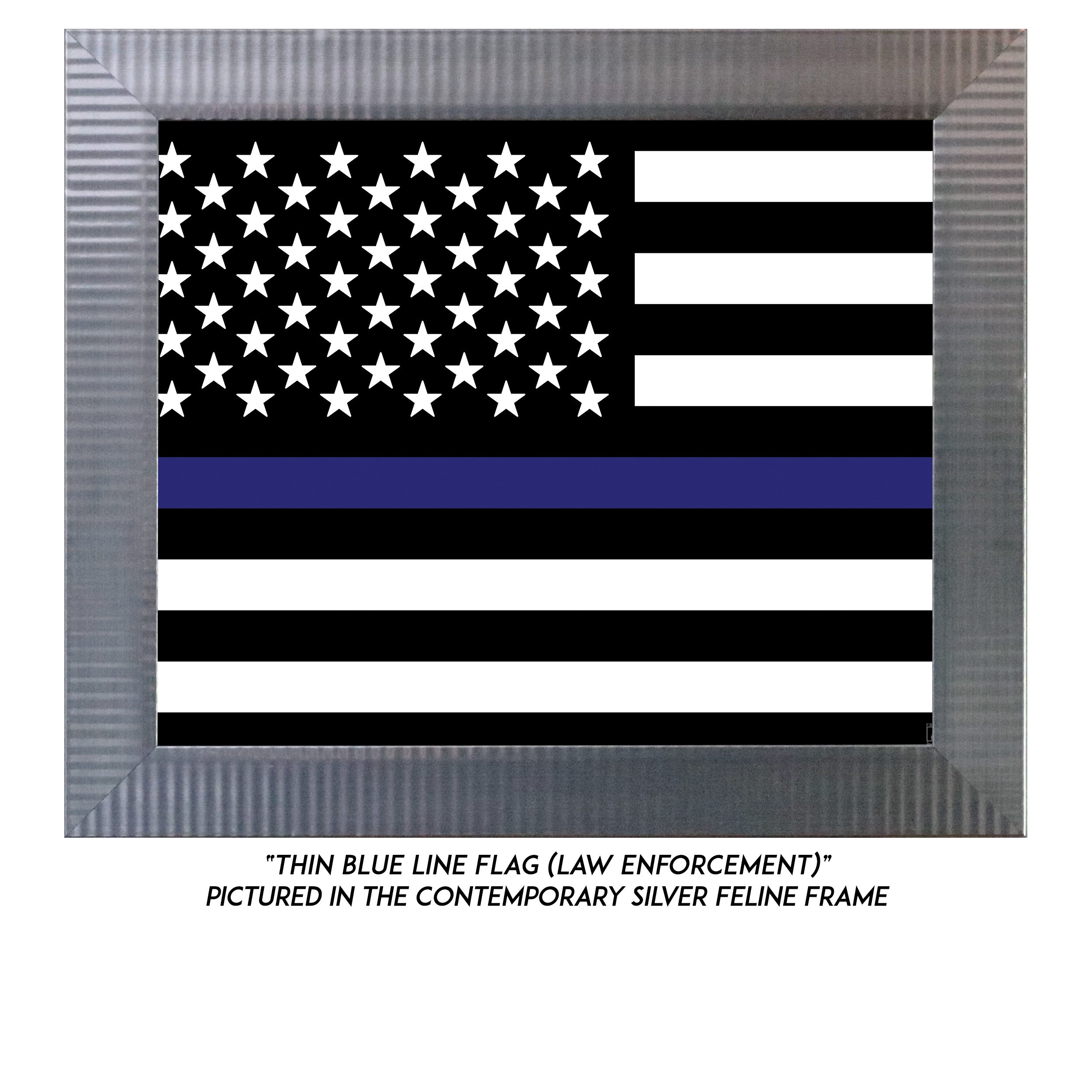 Thin-Blue-Line-Flag-S.jpg