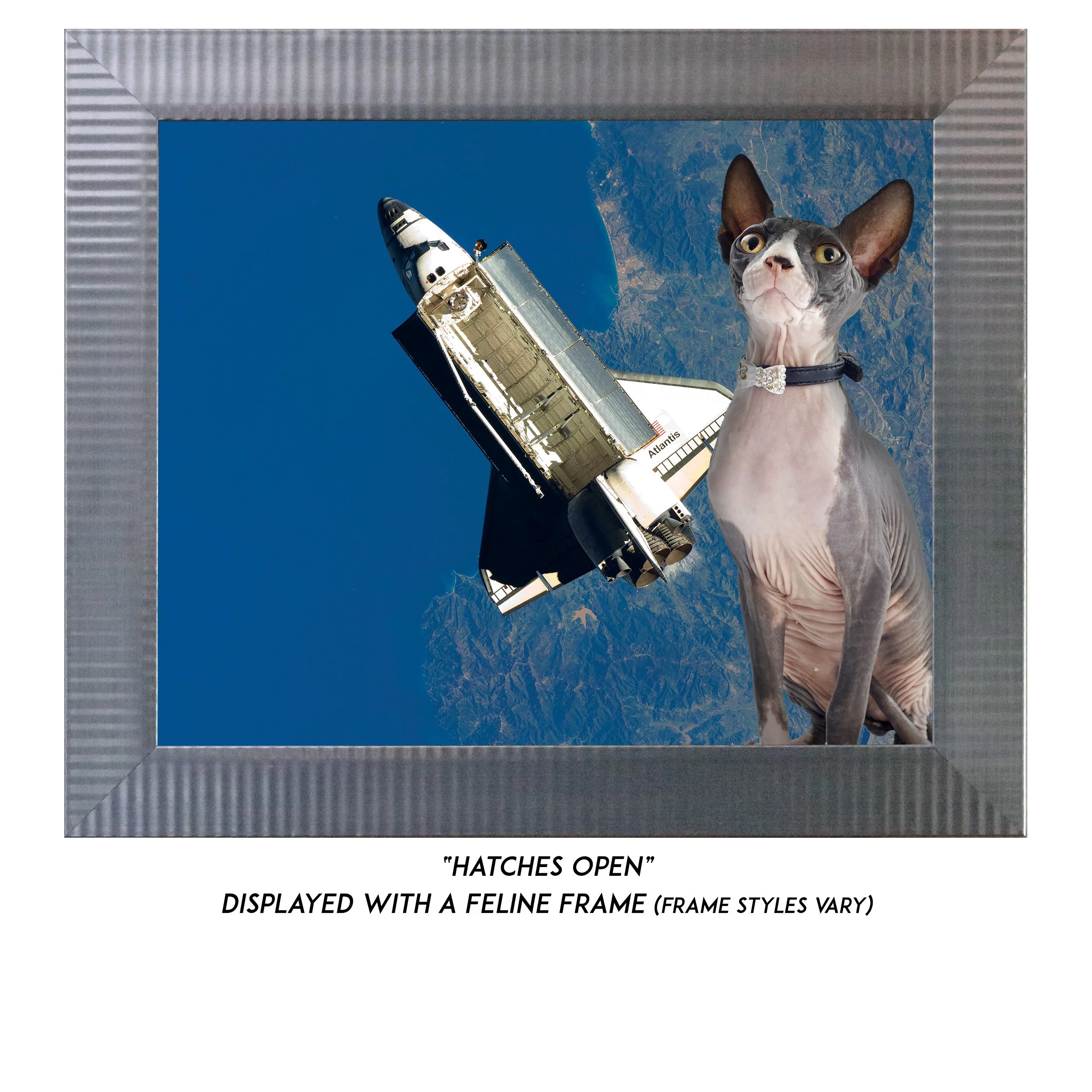 Hatches-Open-CAT.jpg