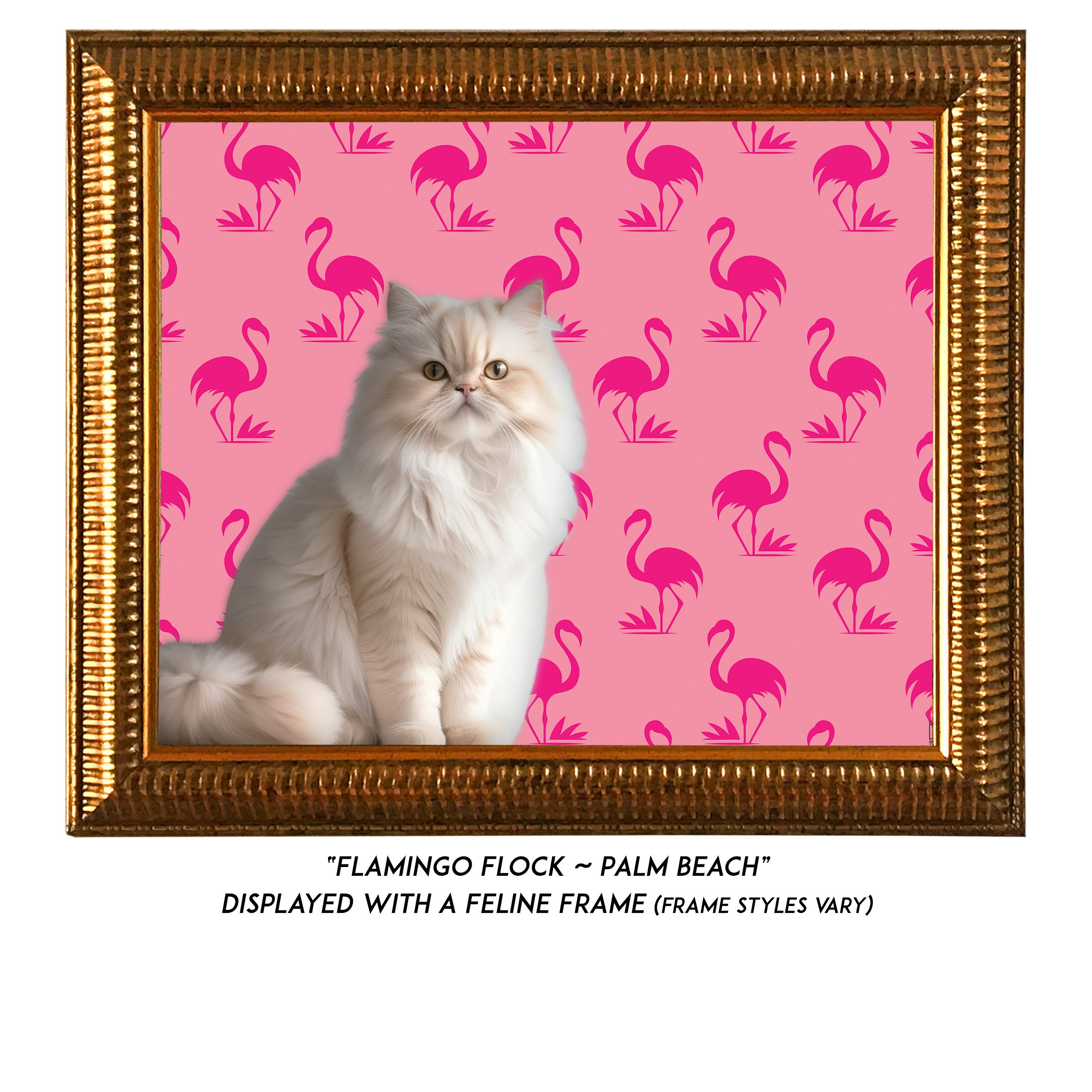 Flamingo-Flock-Palm-Beach-CAT.jpg